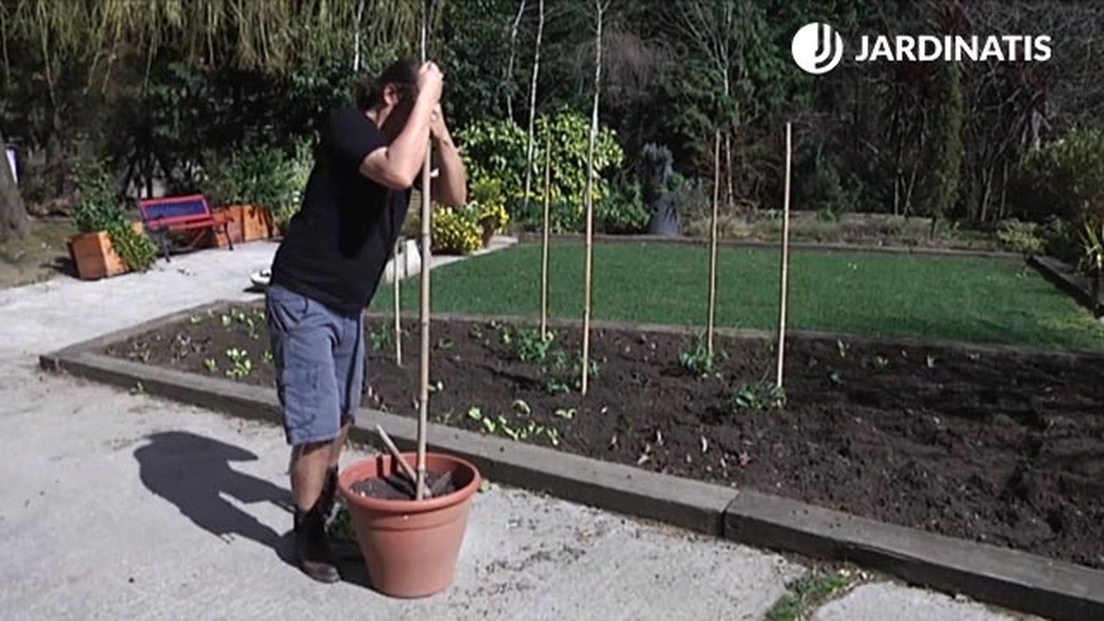 guia para plantar tomates en macetero brico 746 guia para plantar tomates en macetero brico 746