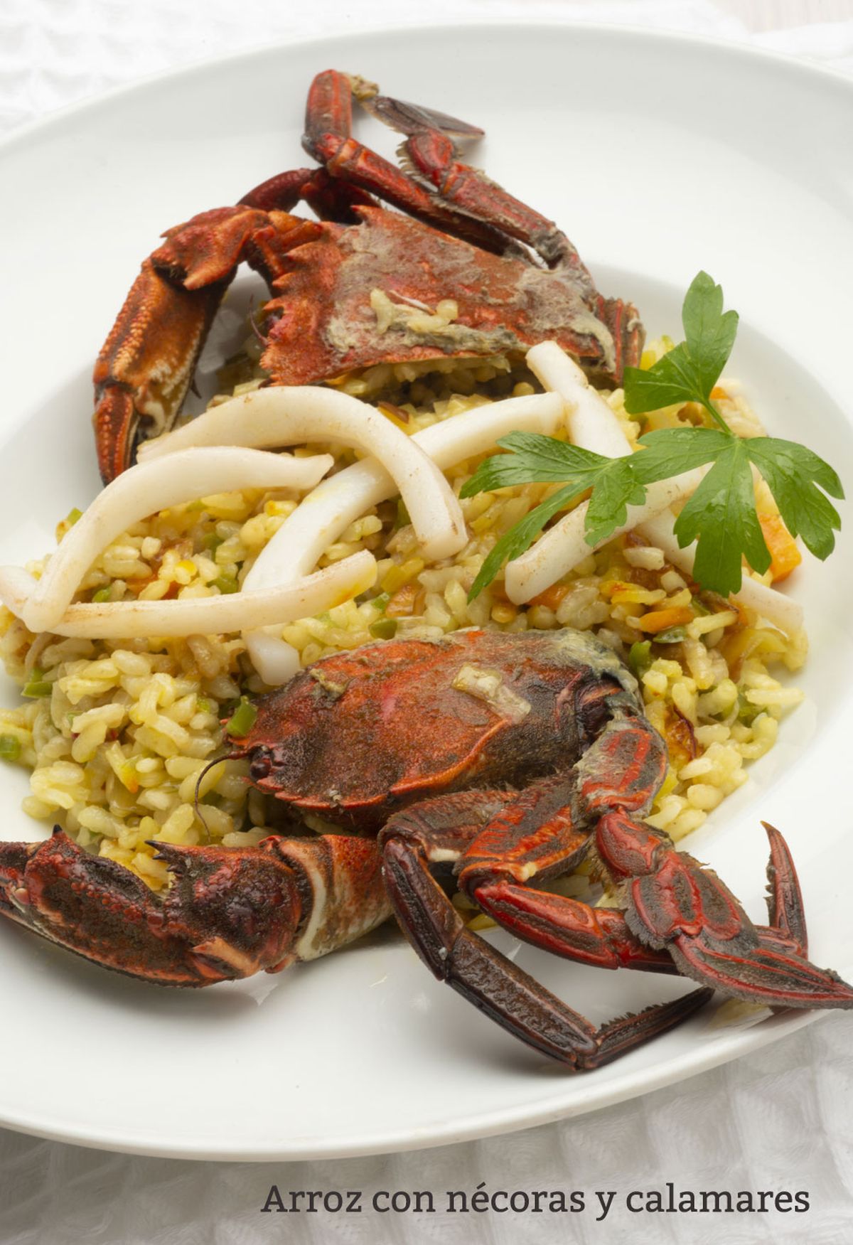 arroz necoras vertical