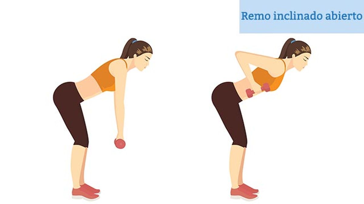 los mejores ejercicios con mancuernas para tonificar brazos en casa remo inclinado abierto