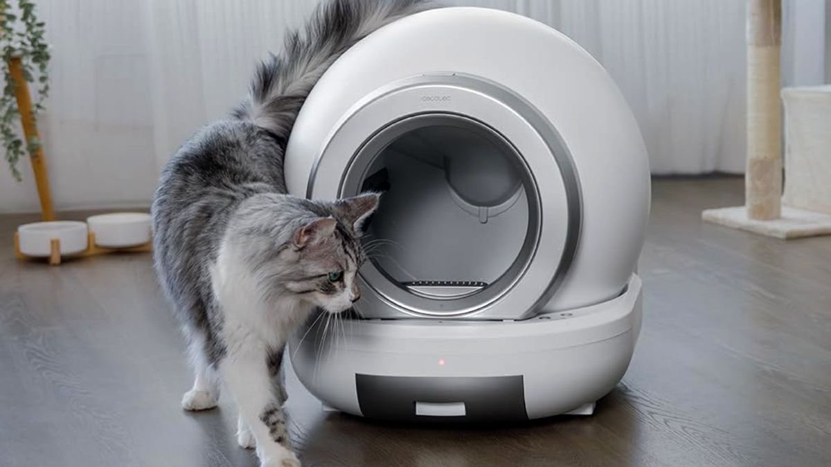 Pumba 7000 CleanKitty Compact Connected