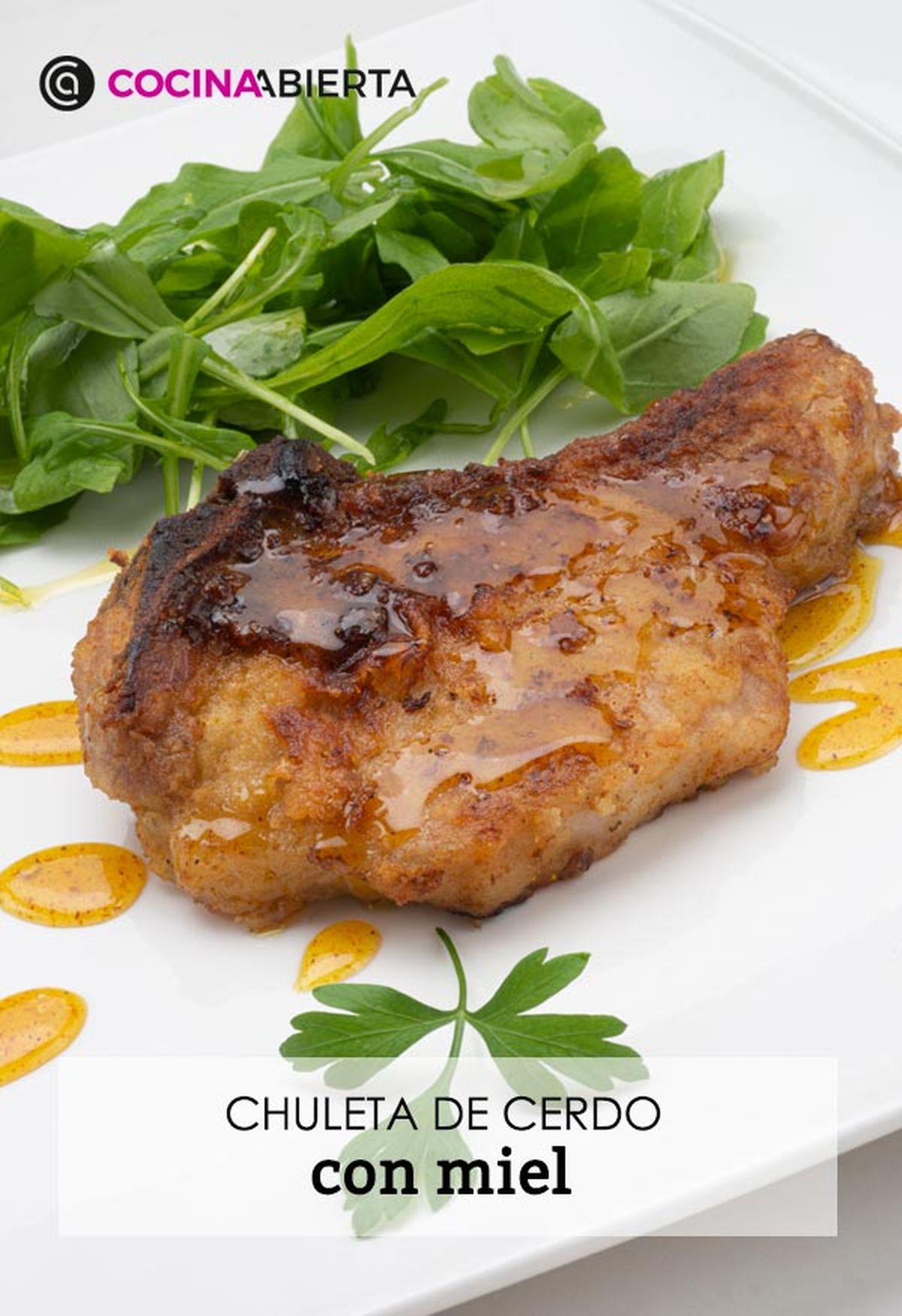 karl6627 chuleta cerdo v