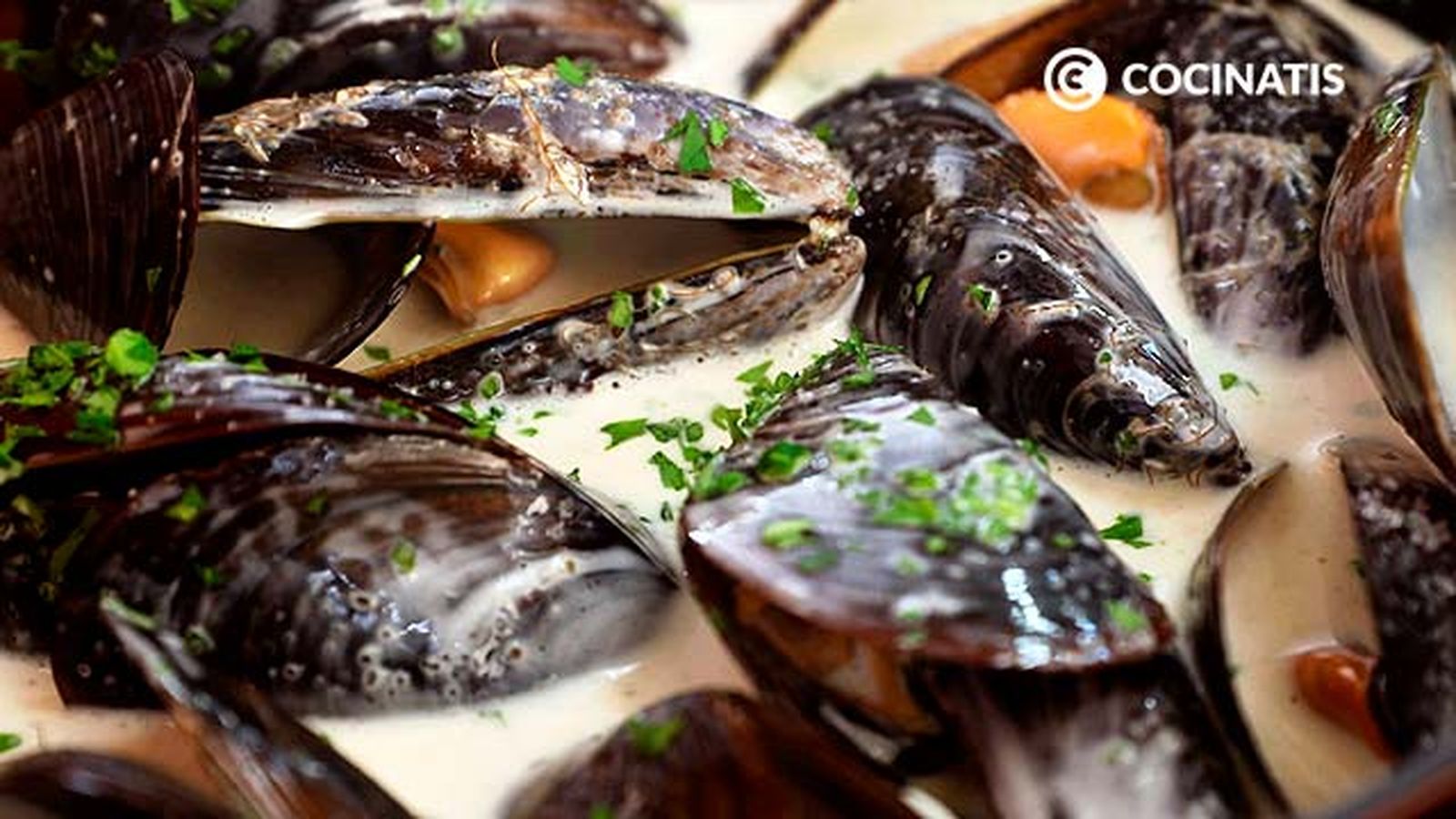 Receta de mejillones con nata paso 4 Receta de mejillones con nata paso 4