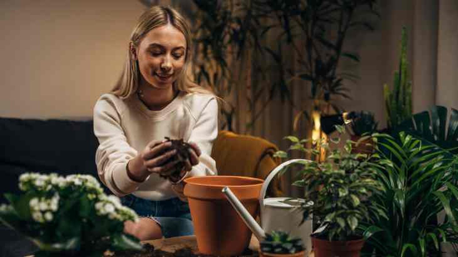 influye la luna en el cuidado de plantas