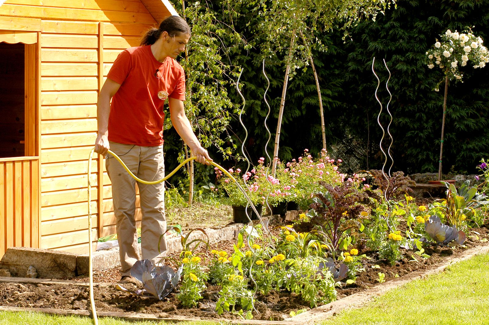 brico 0376 3 como hacer huerto plantas ornamentales paso 9 brico 0376 3 como hacer huerto plantas ornamentales paso 9