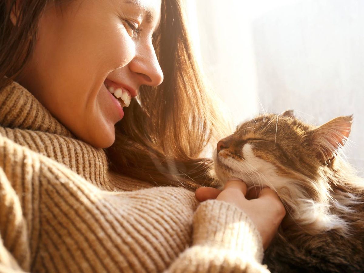 Con amor, cuidados y atención, tu gato podrá acompañarte durante muchos años.