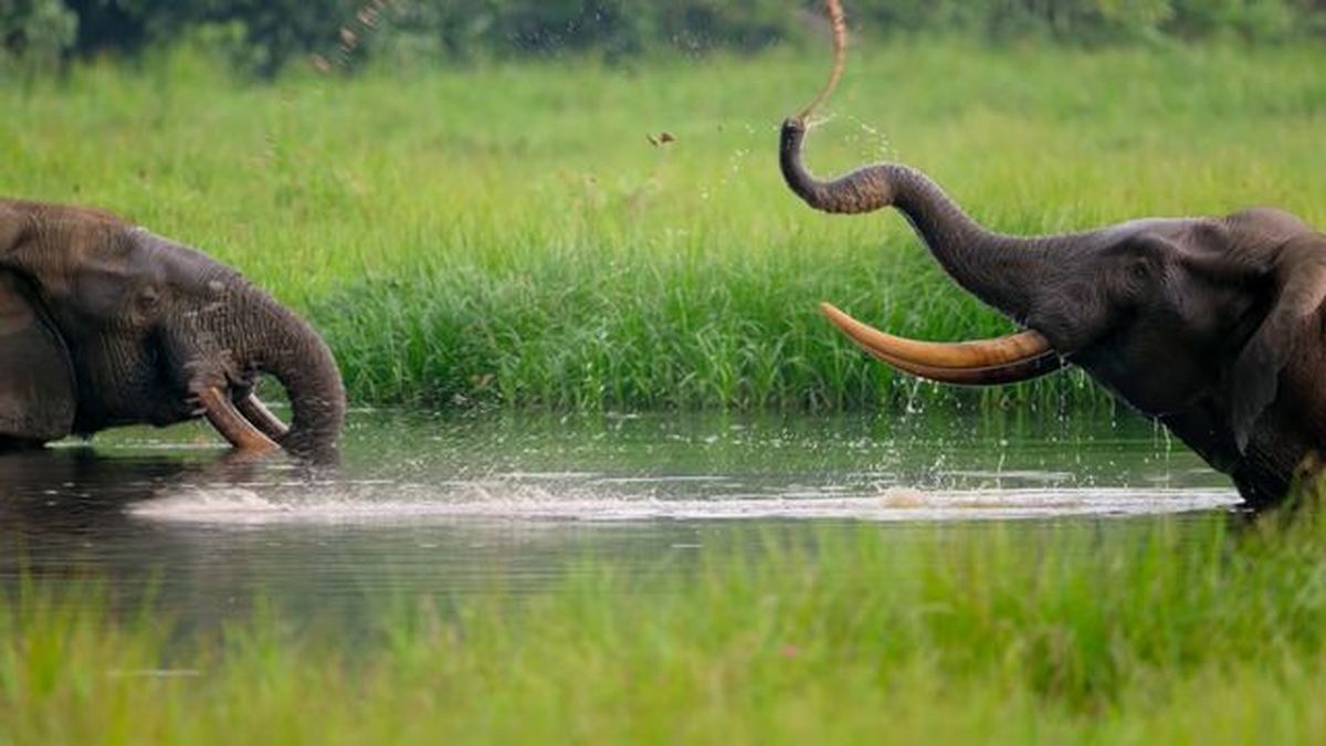 nuestro planeta netflix