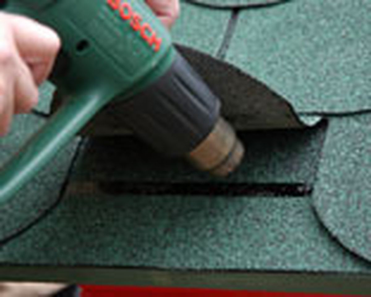 335 imper caset perro p09