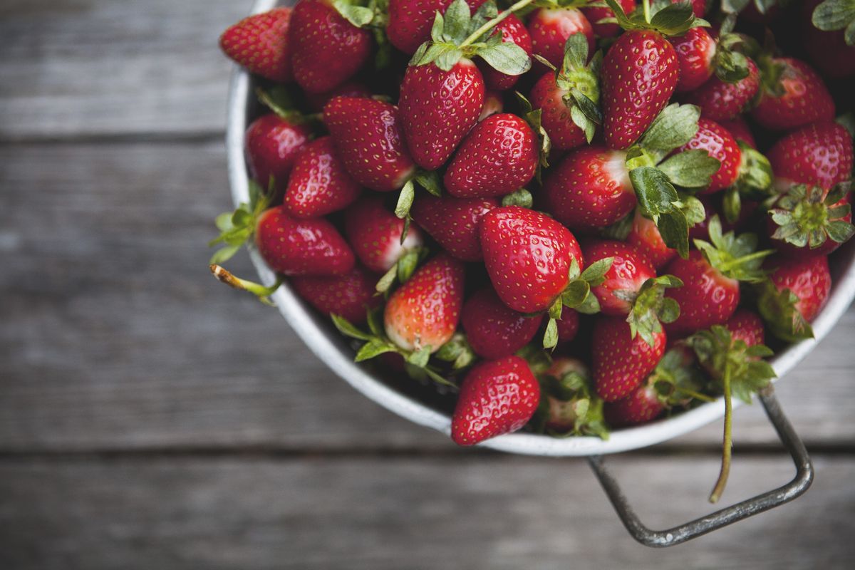 ROJA009_Consejos para cultivar fresas