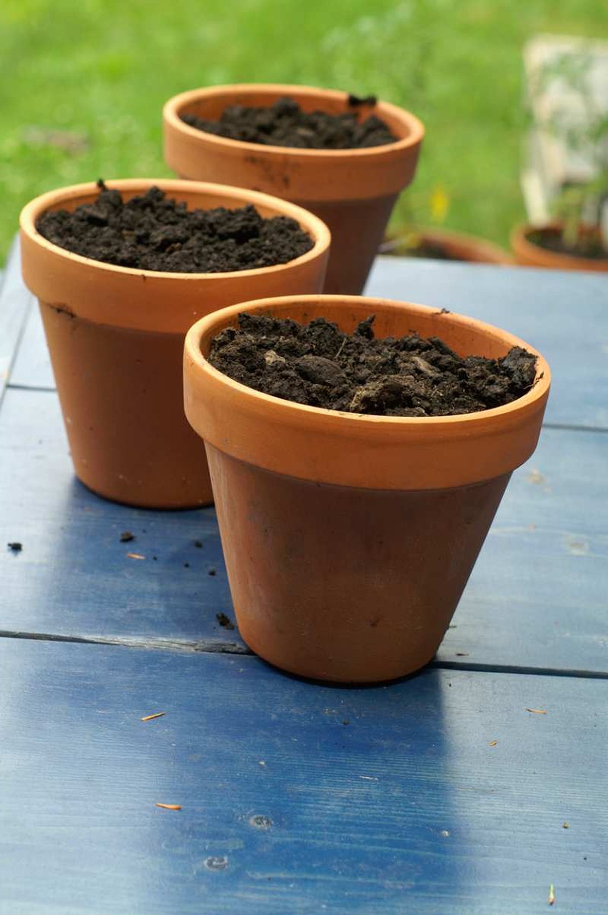 Escoge un lugar adecuado