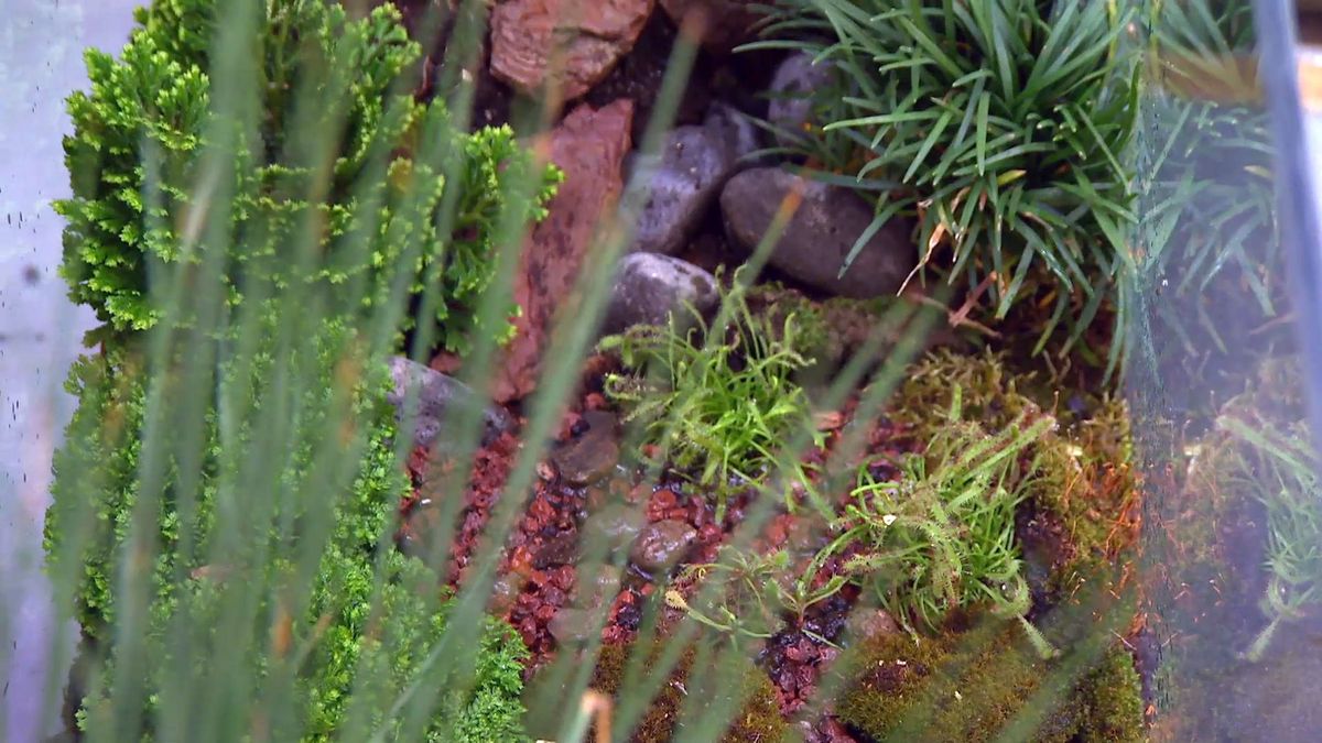 brico 881 3 humedal pecera detalle