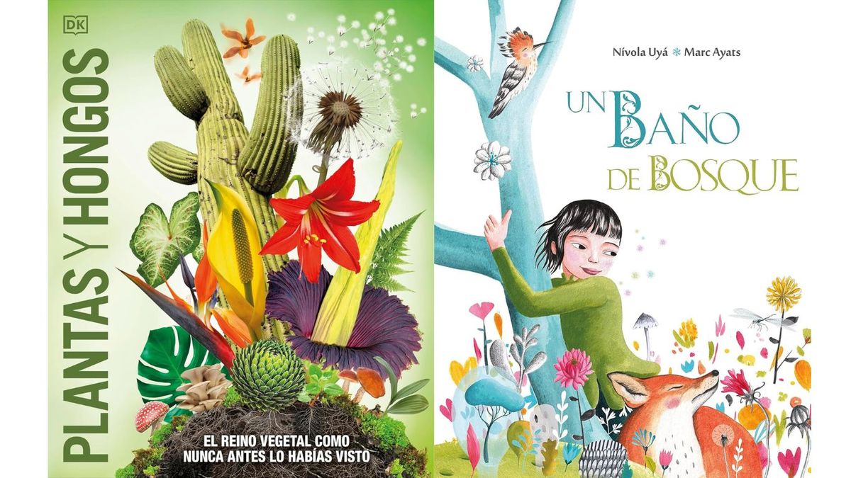 De izq. a drch.: Plantas y hongos  y un baño de bosque. / foto: Amazon