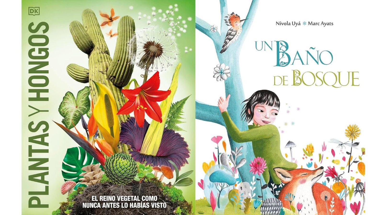 De izq. a drch.: Plantas y hongos y un baño de bosque. / foto: Amazon De izq. a drch.: Plantas y hongos y un baño de bosque. / foto: Amazon