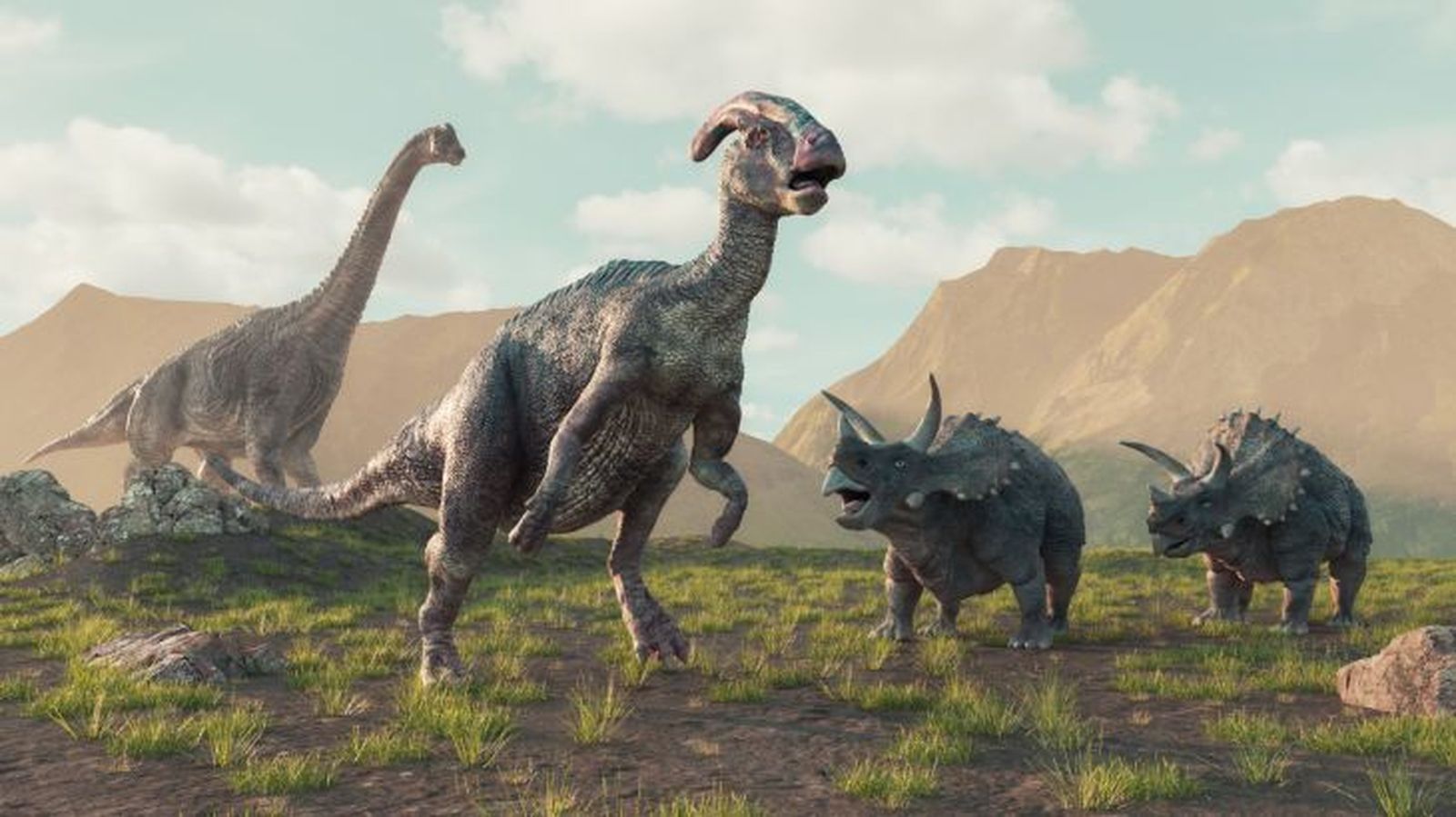 como eran los dinosaurios 12 como eran los dinosaurios 12