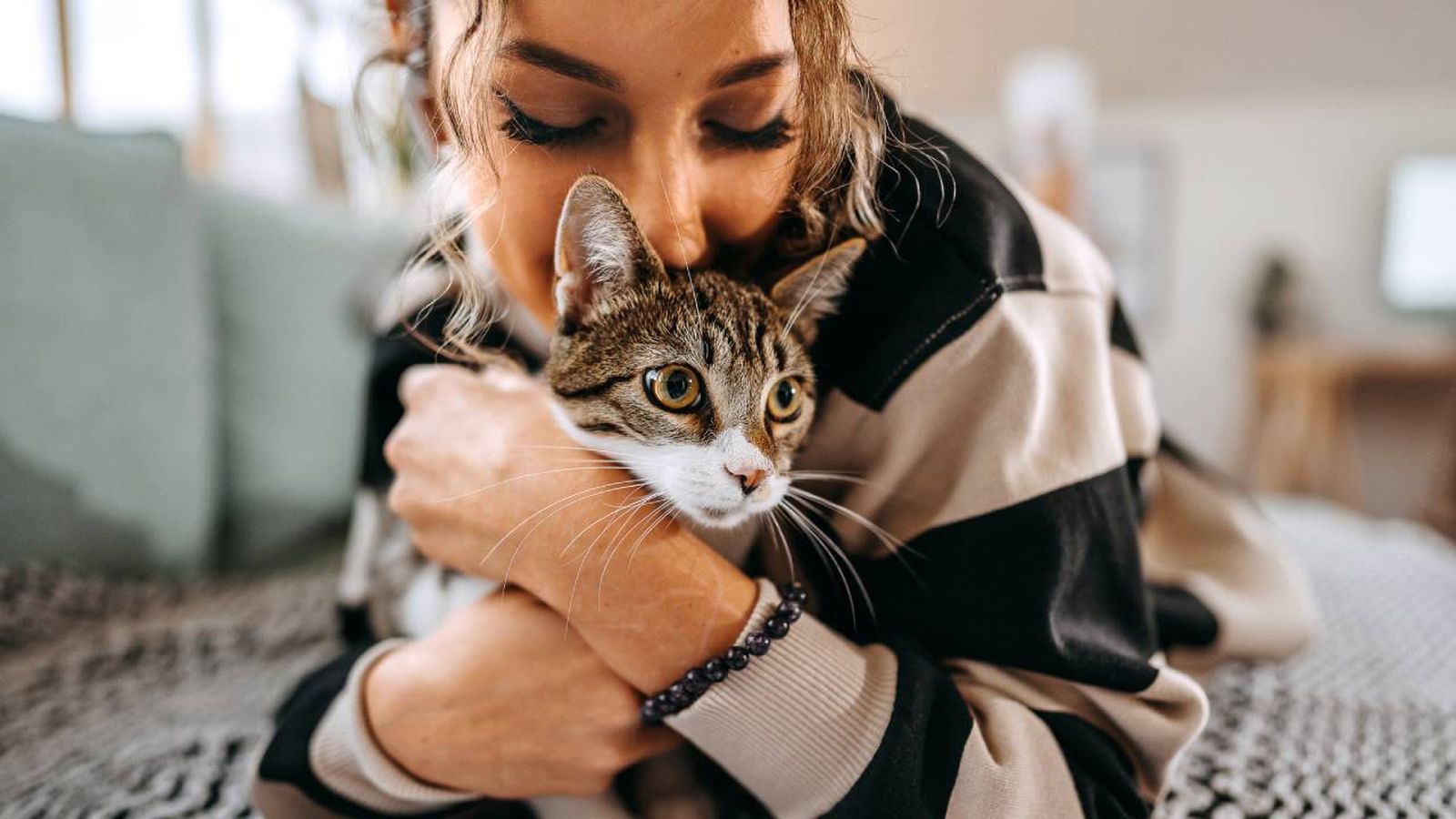 Descubre cómo saber si tu gato te quiere