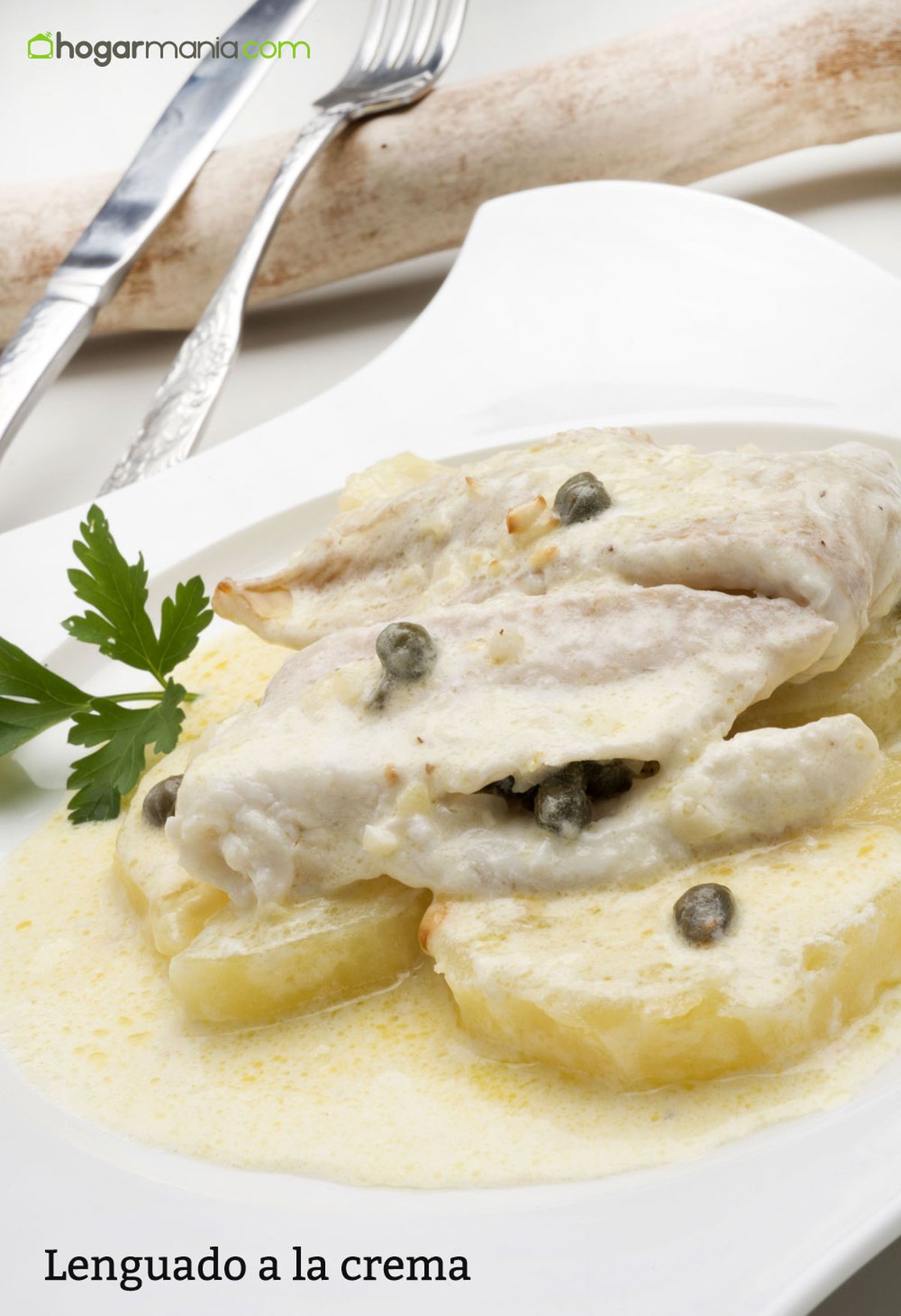 HCTU0340 Lenguado a la crema vertical xl