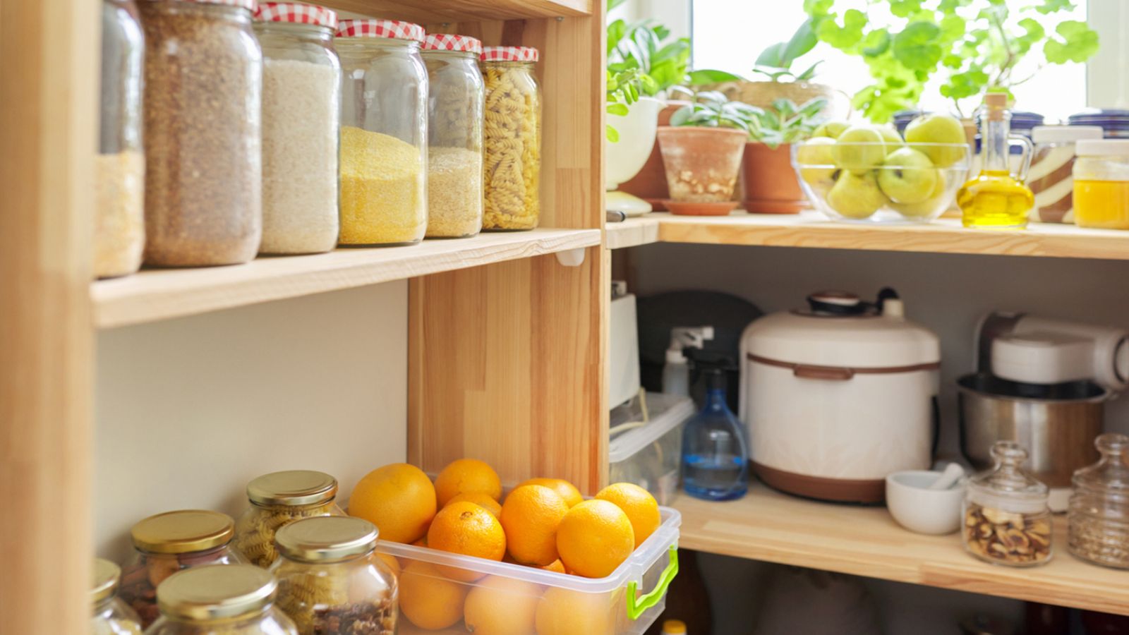 La clave de una buena despensa: productos versátiles, bien conservados y listos para convertirse en recetas fáciles y nutritivas.