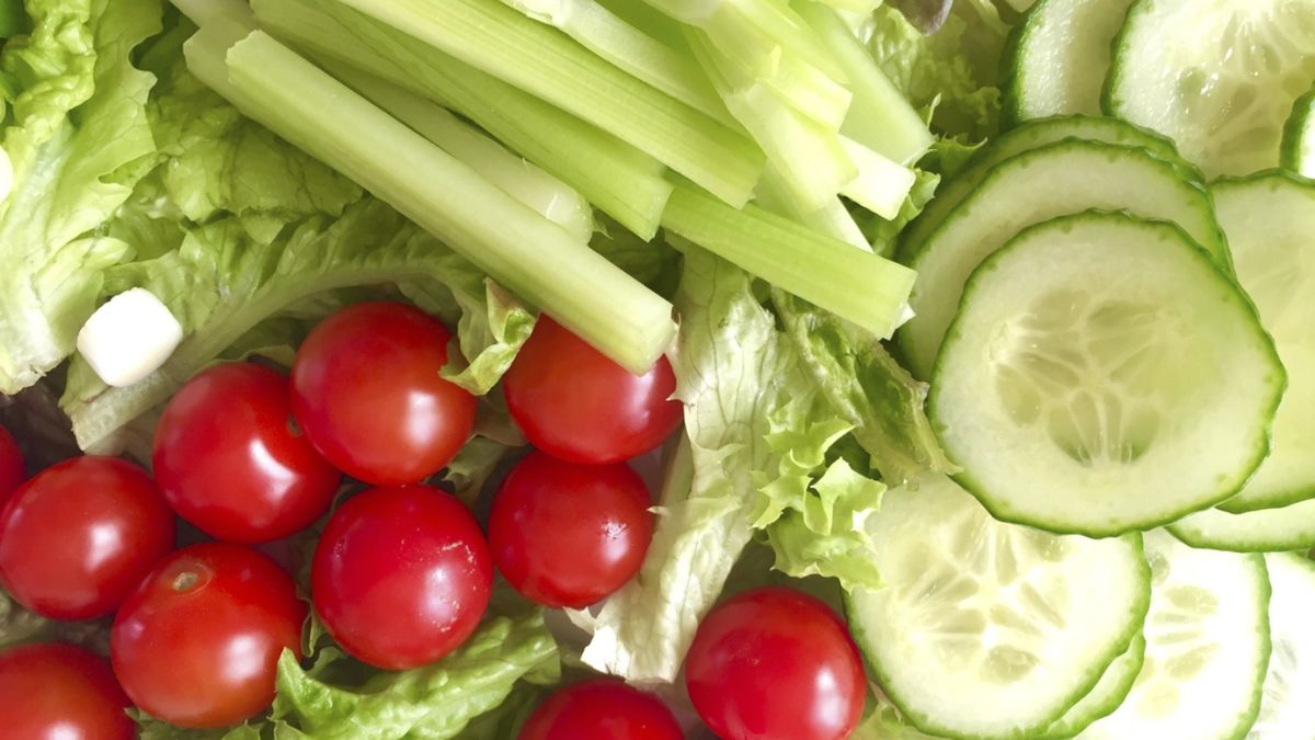 Te contamos cuáles son los alimentos con más agua y cómo aprovecharlos