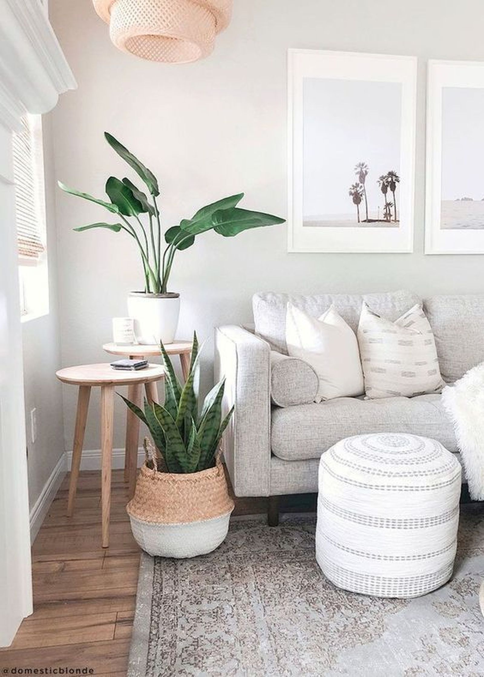 8 salon gris plantas pinterest arquitectura y diseño