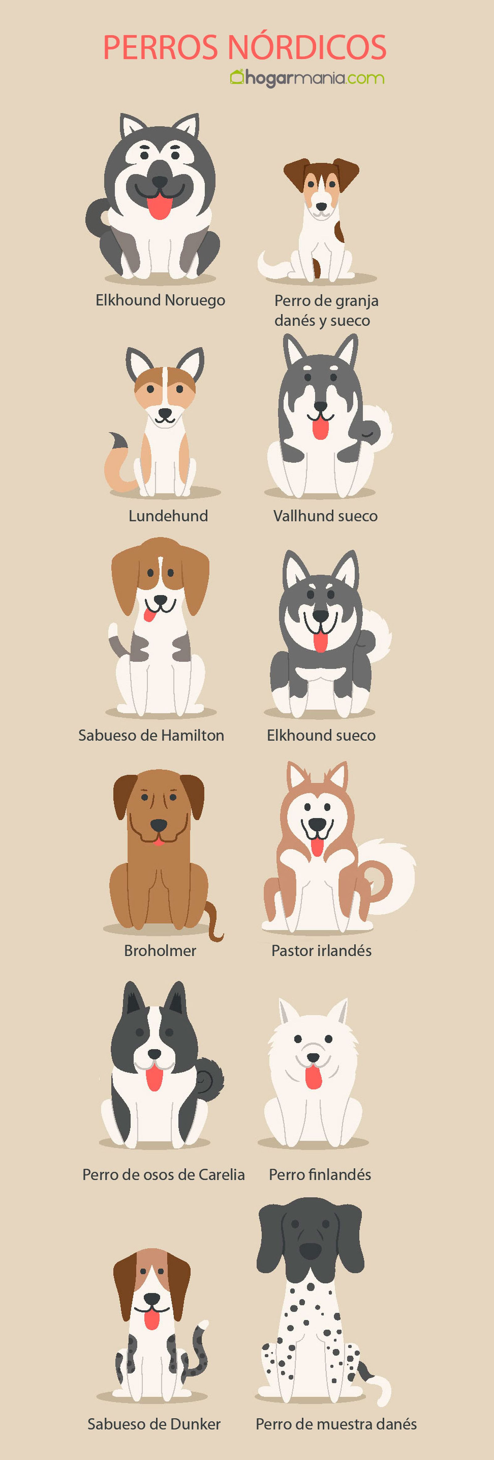 razas perros nordicos razas perros nordicos
