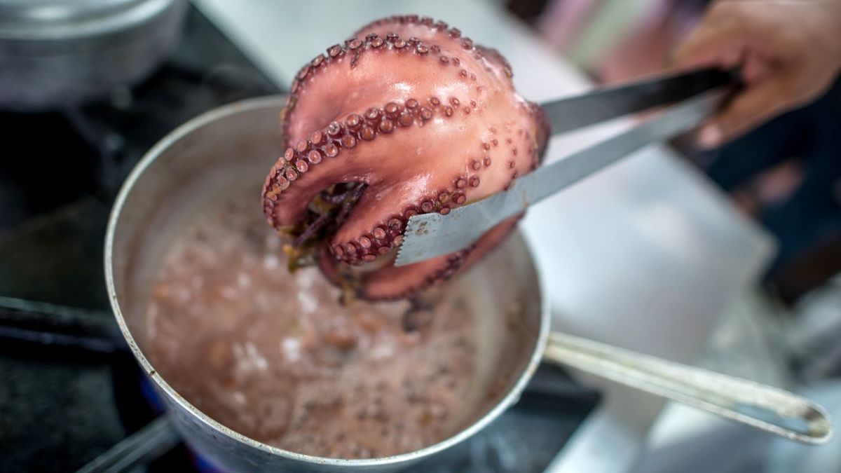 Cómo cocer pulpo con tiempos y trucos