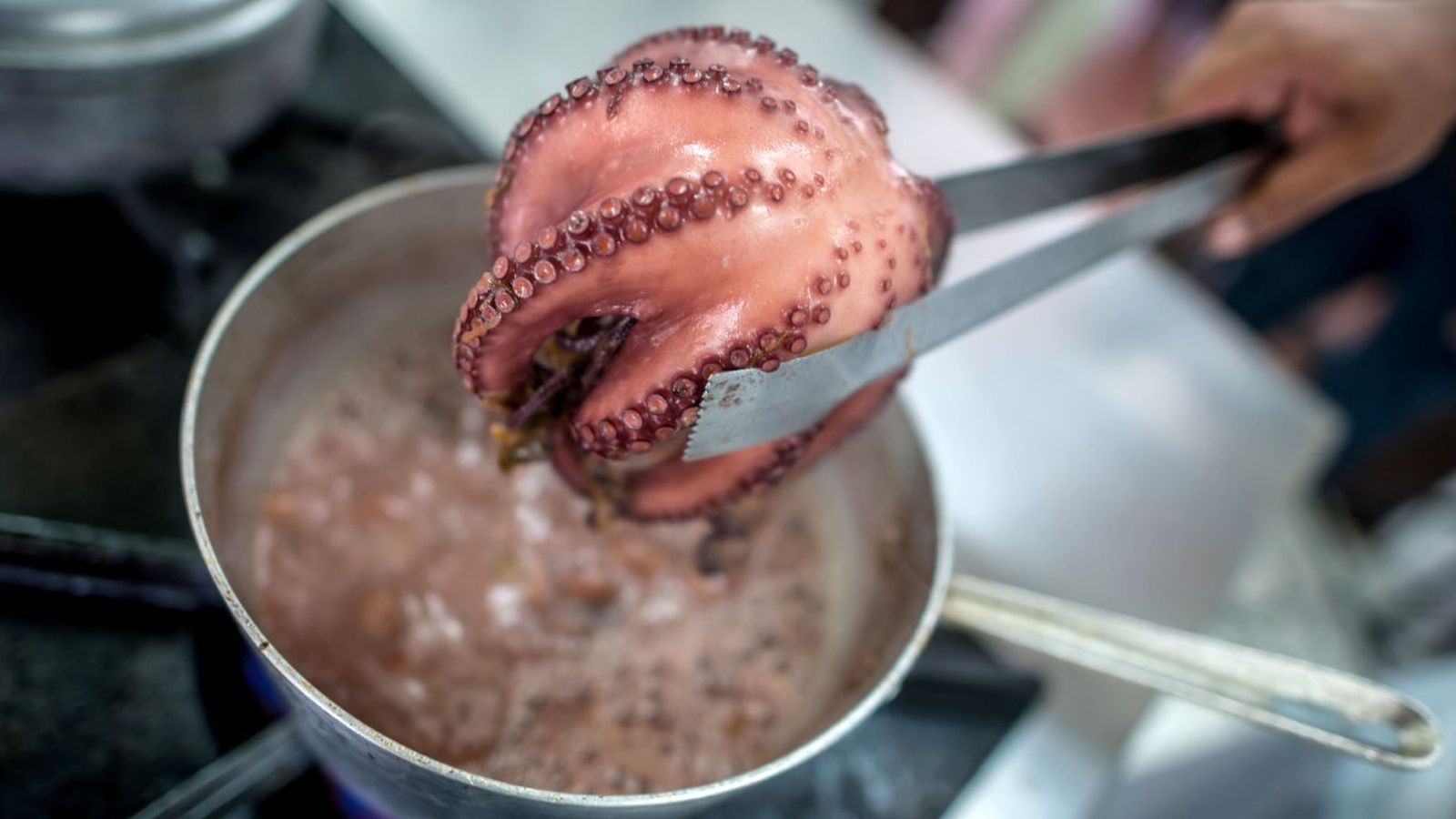 Cómo cocer pulpo con tiempos y trucos Cómo cocer pulpo con tiempos y trucos