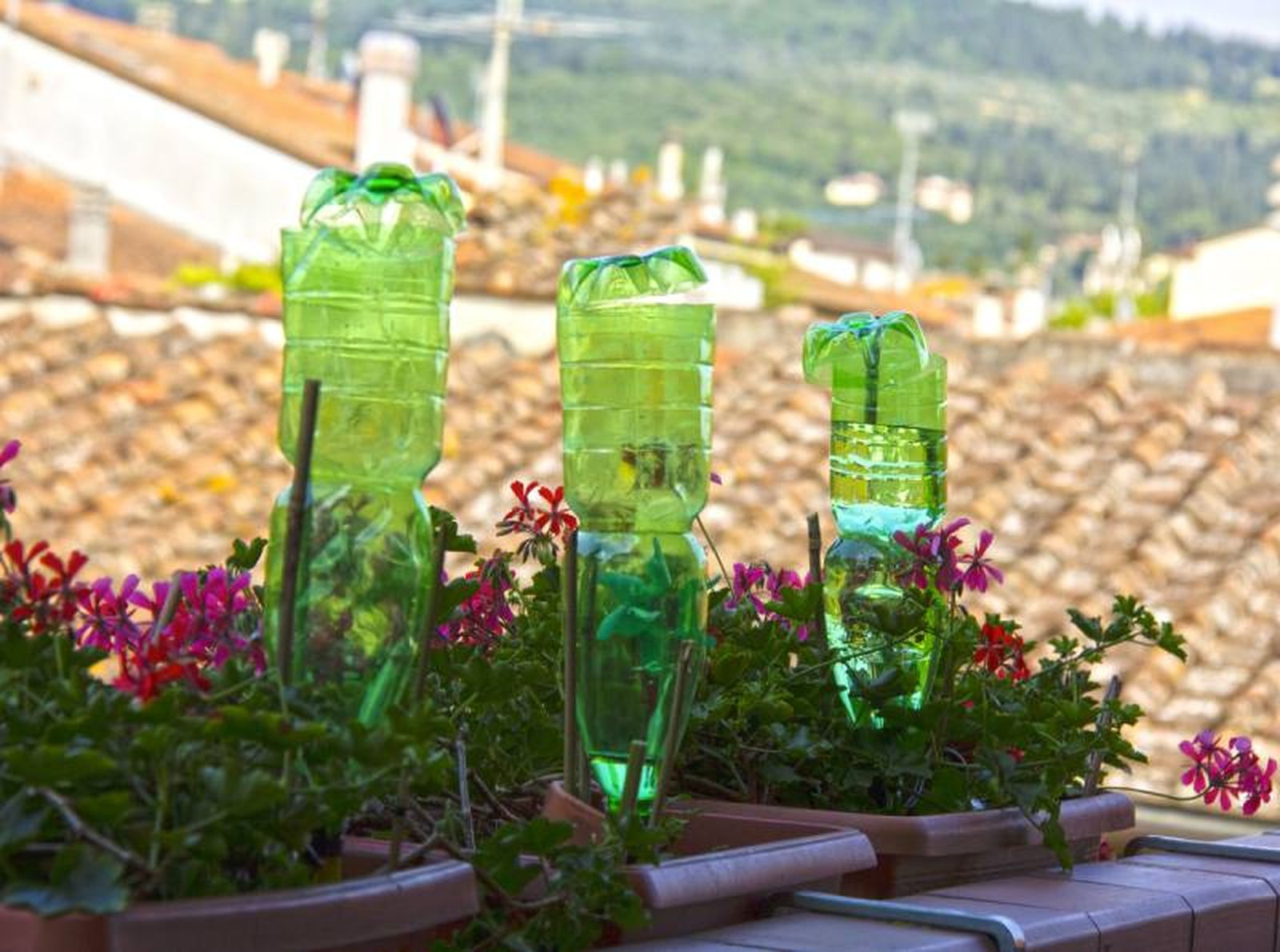 Sistema de riego con botellas Sistema de riego con botellas