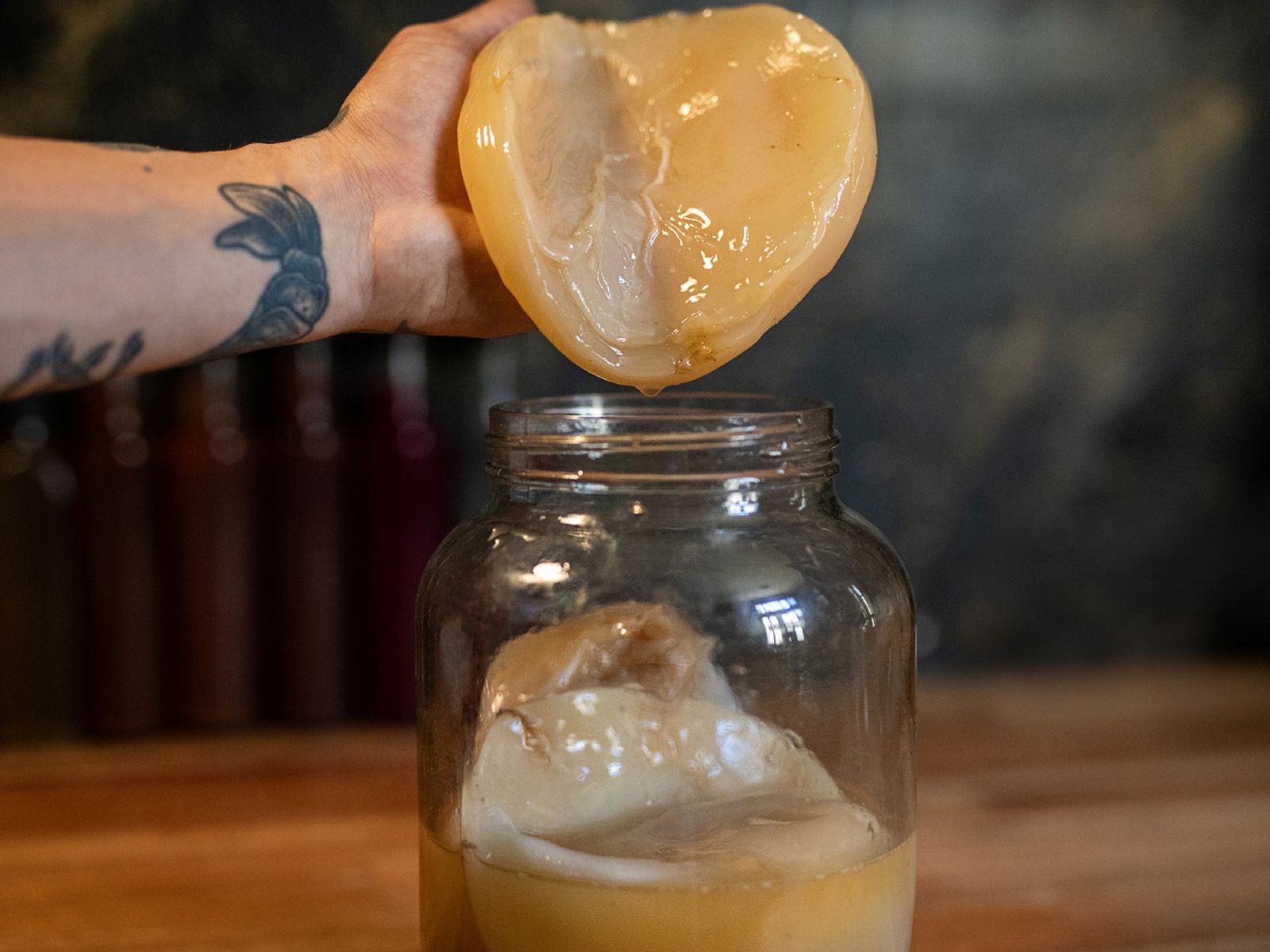 El SCOBY, una colonia de bacterias y levaduras, es el corazón de la fermentación que da vida a la kombucha.