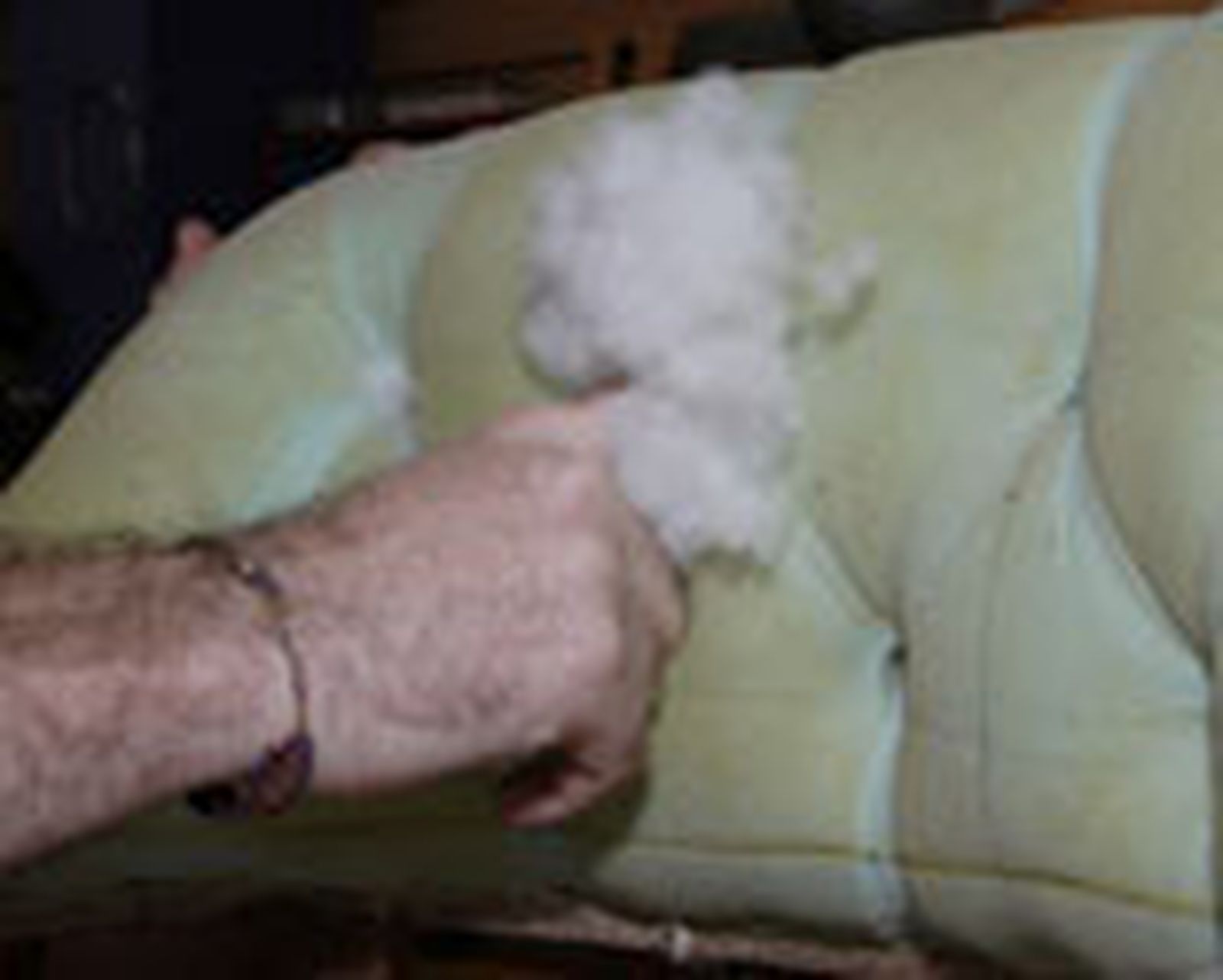 291 restaur butaca p15 291 restaur butaca p15