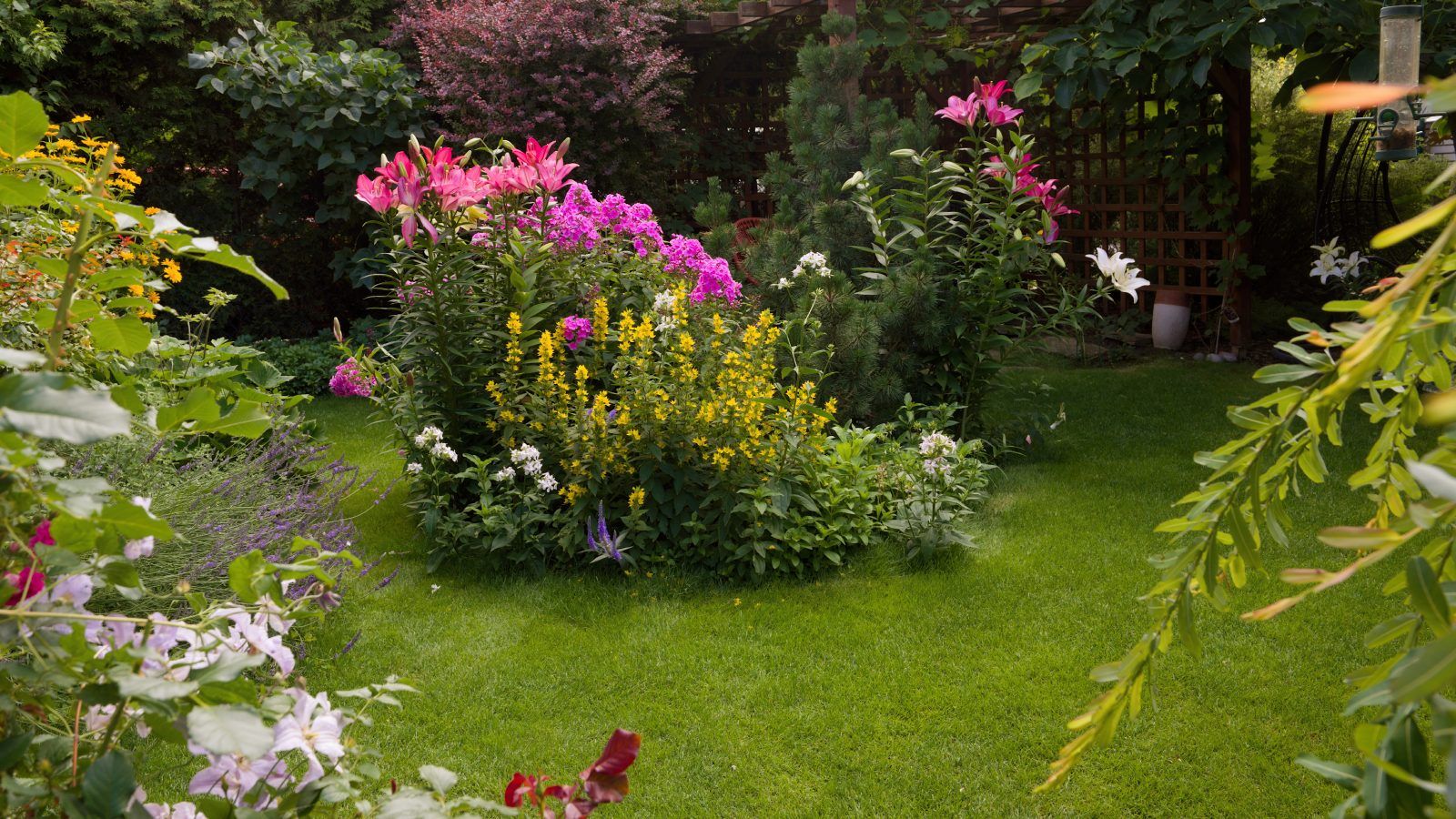 Existen muchos de plantas de exterior perfectas para jardines sin sombra