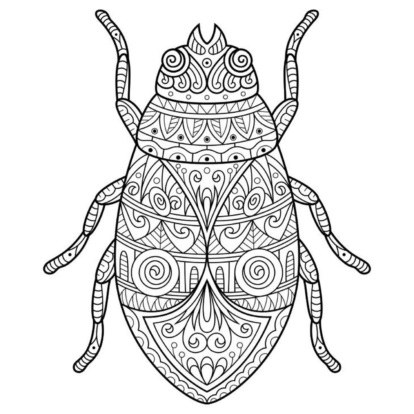 escarabajo mandala escarabajo mandala