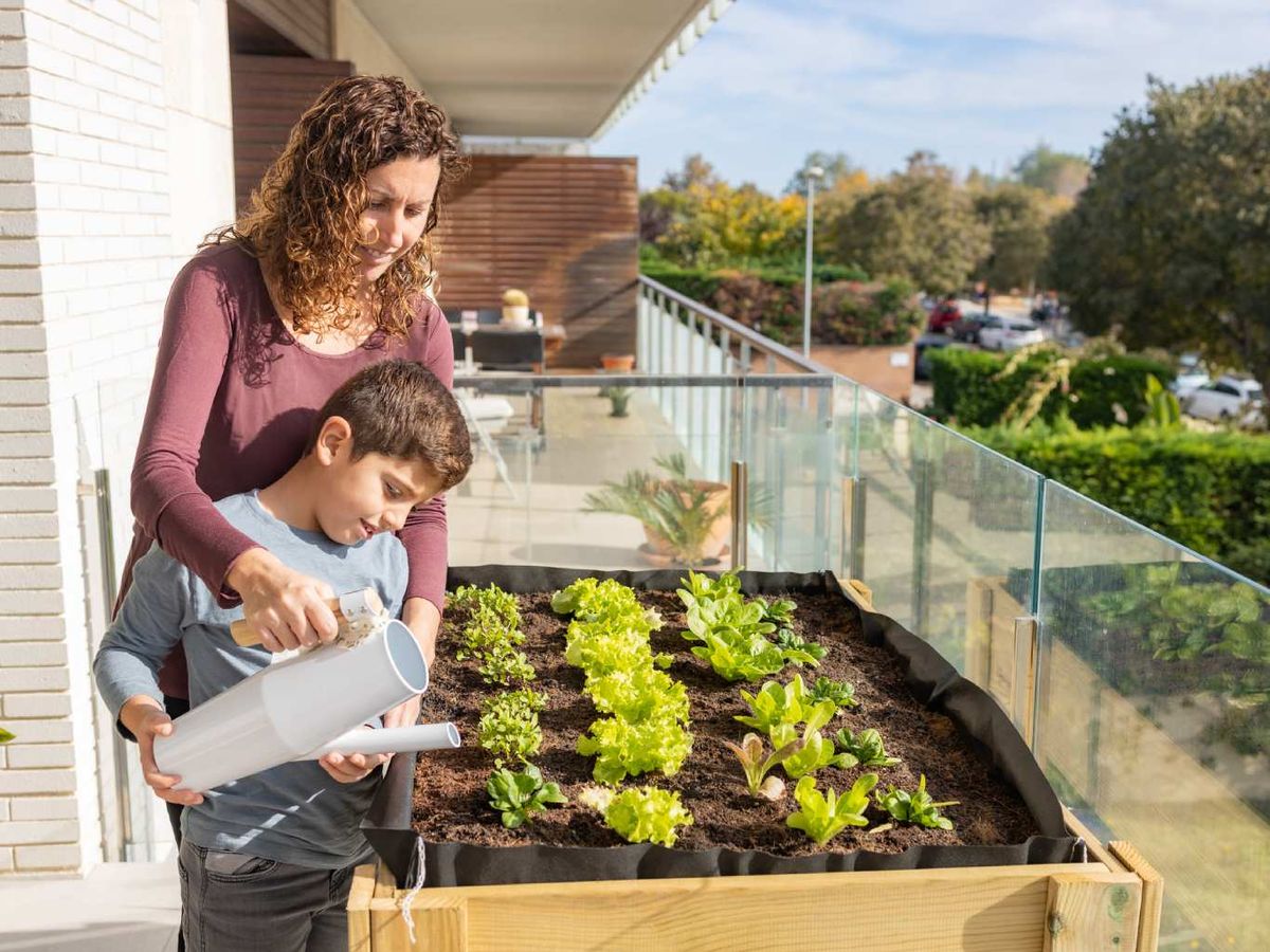 Madre e hijo regando su huerto urbano en el balcón.