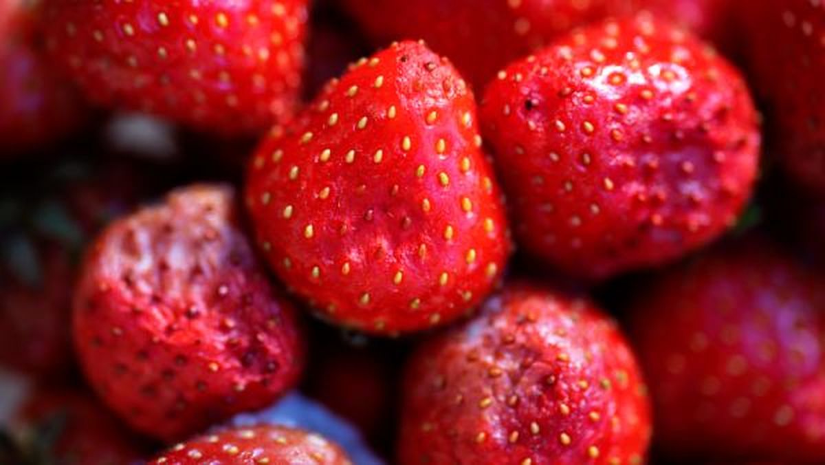 Cómo conservar las fresas - Congelar fresas