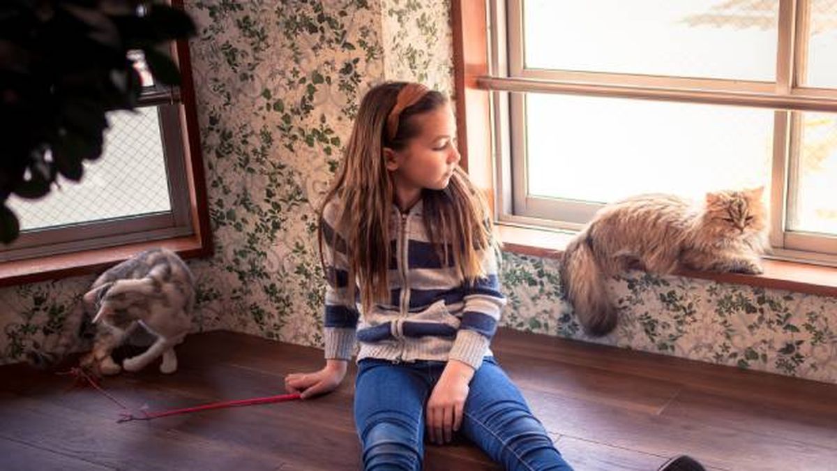 niña jugando con gatos (2)