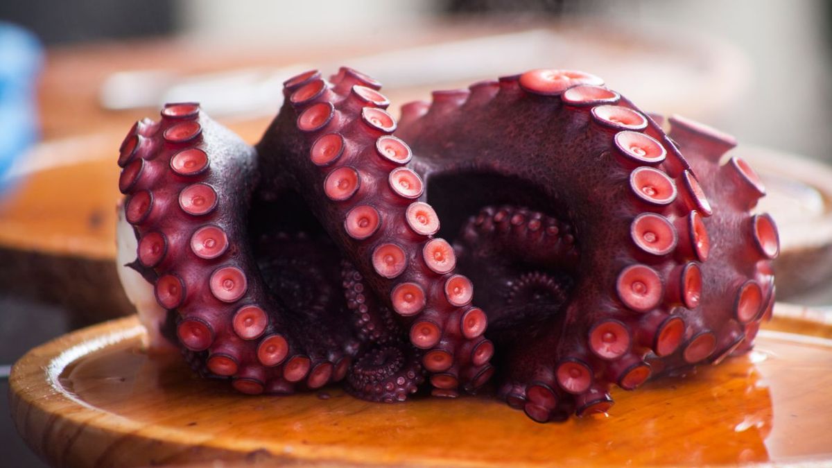 Pulpo