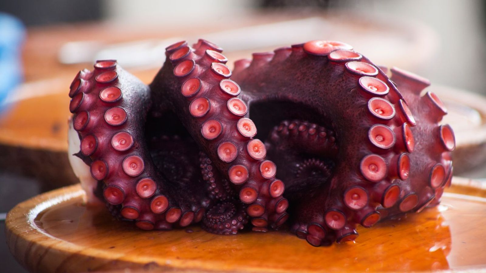 Pulpo Pulpo