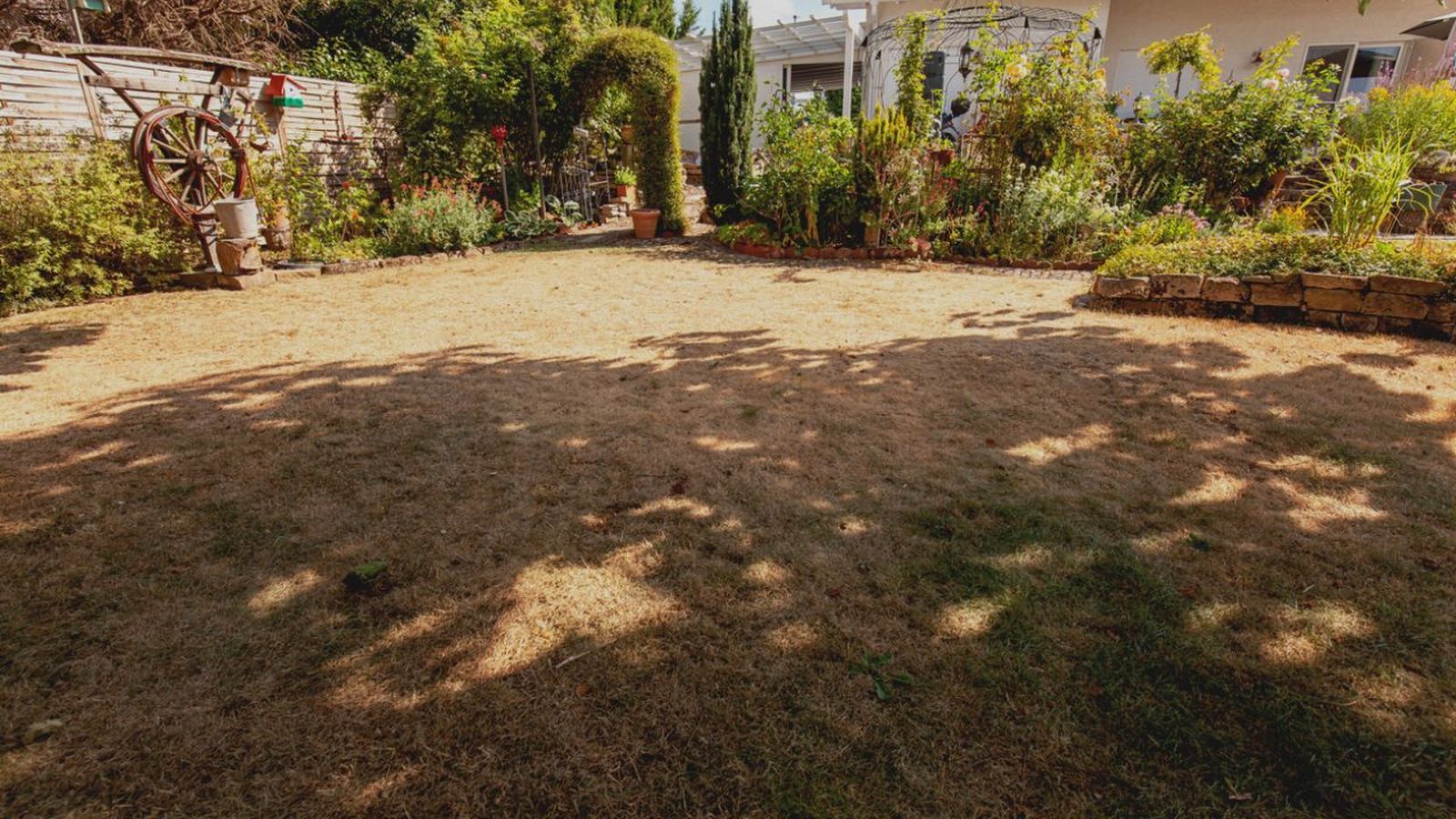 como afecta el cambio climatico al jardin