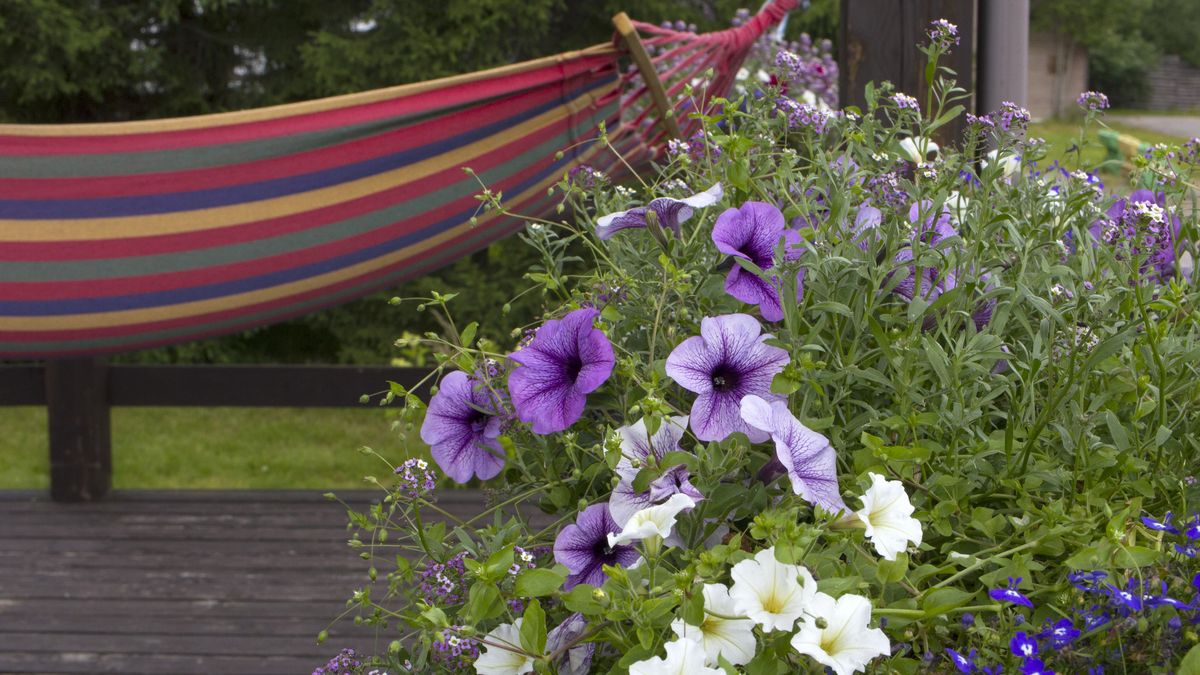 Integrar la naturaleza en tu hogar es una de las inversiones más rentables para tu bienestar