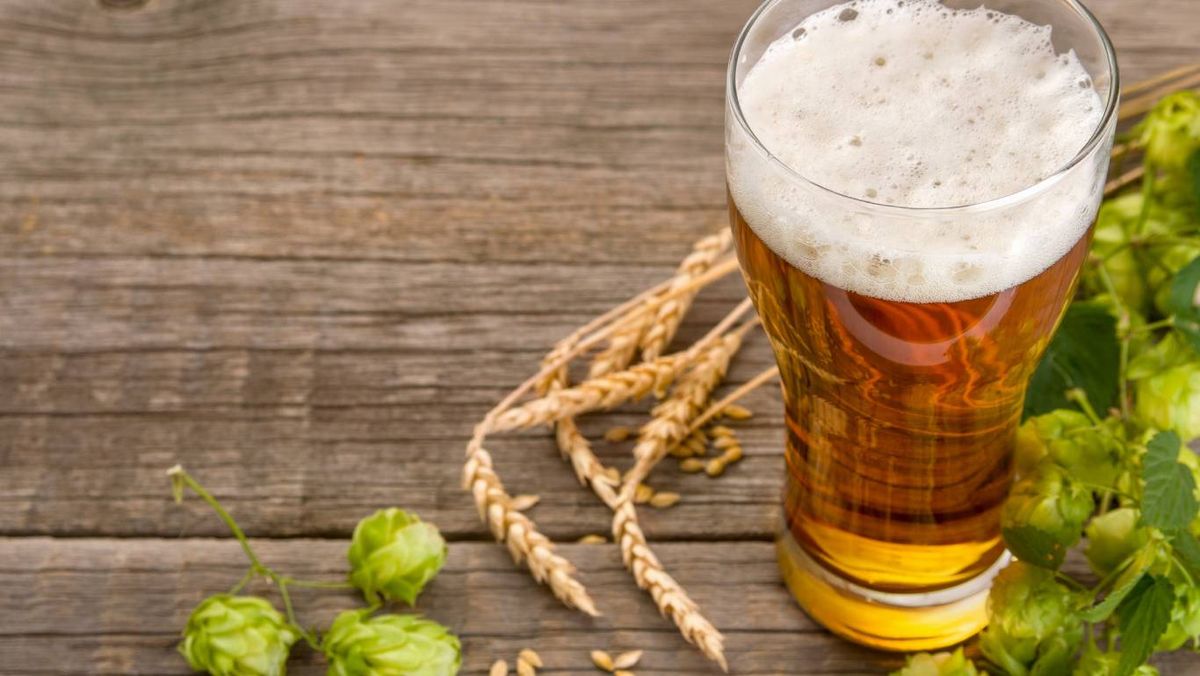 Usos de la cerveza en la jardinería