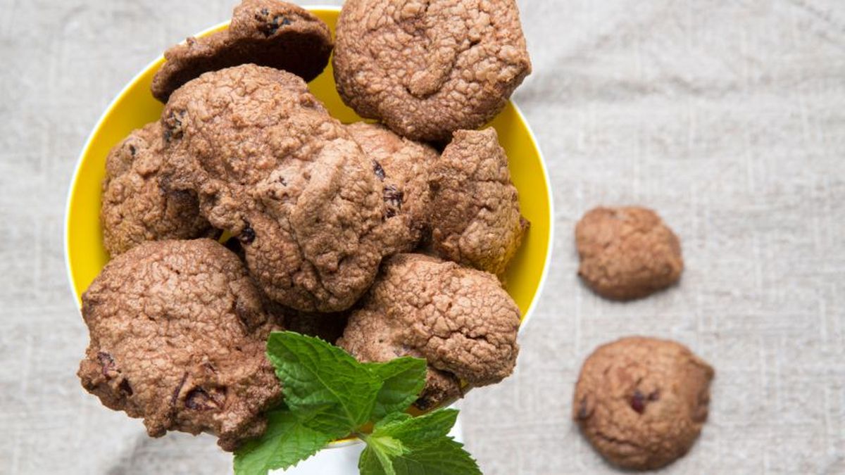 5632 2 galletas de chocolate y arandanos 1017 xl 848x477x80xX[1]