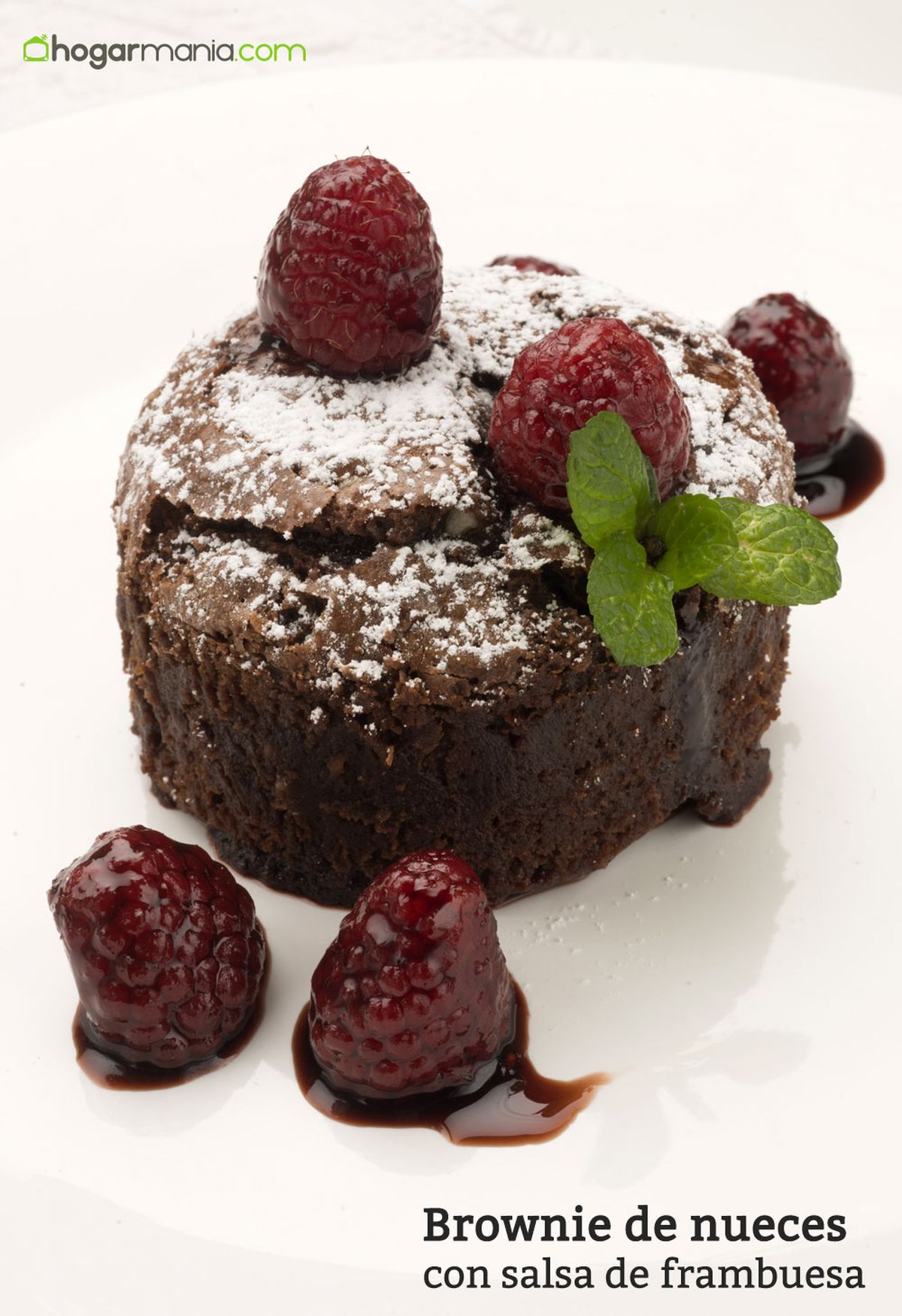 HCTU0350 Brownie de nueces con salsa de frambuesa vertical xl