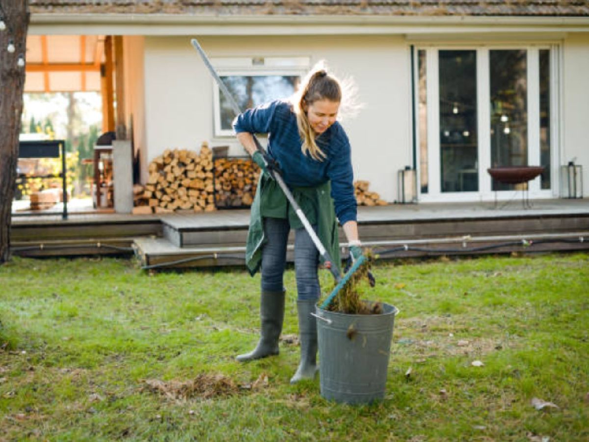 Mantén limpio y ordenado el jardín