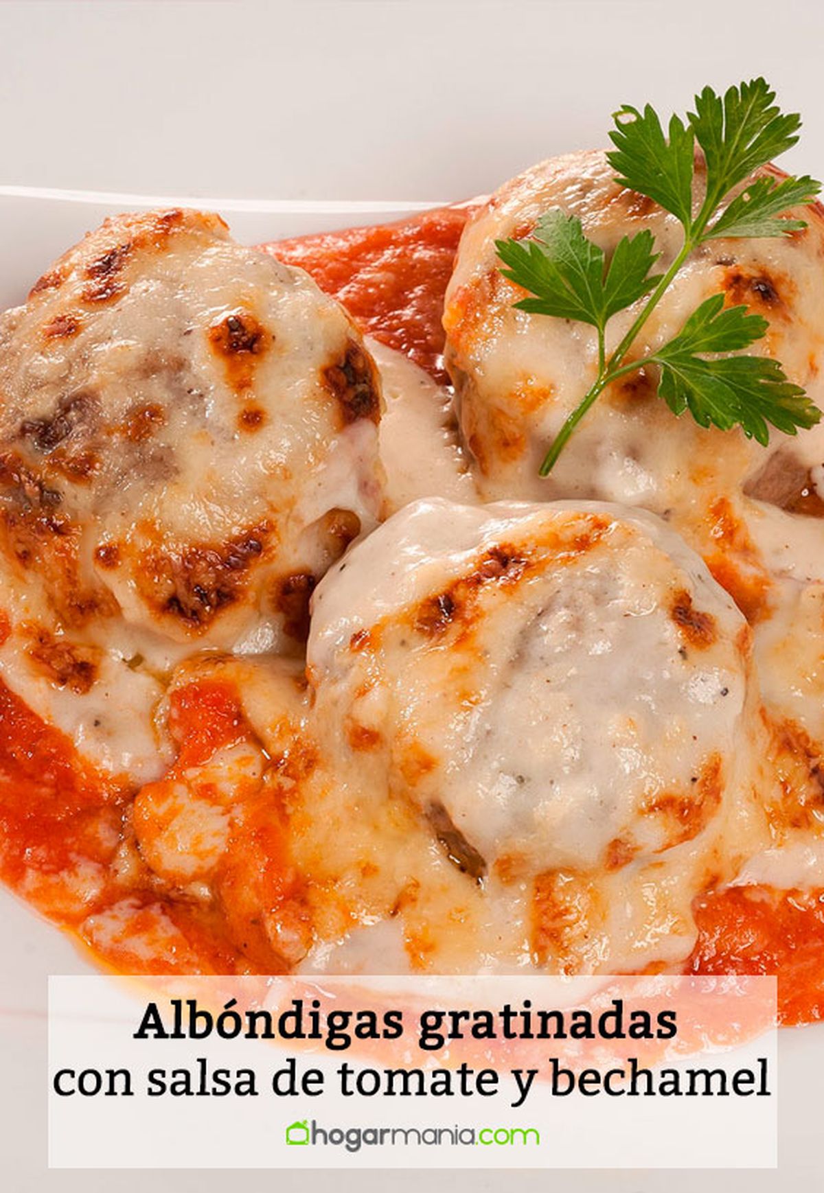 albondigas gratinadas salsa toamte bechamel pin