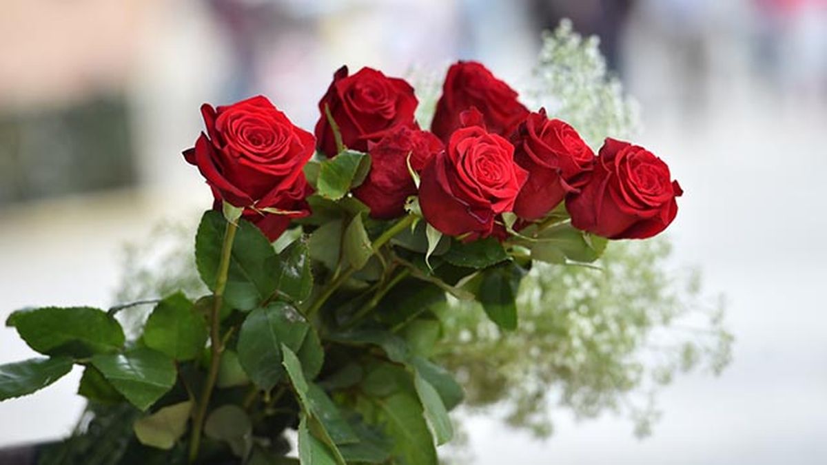 rosas para el dia de todos los santos