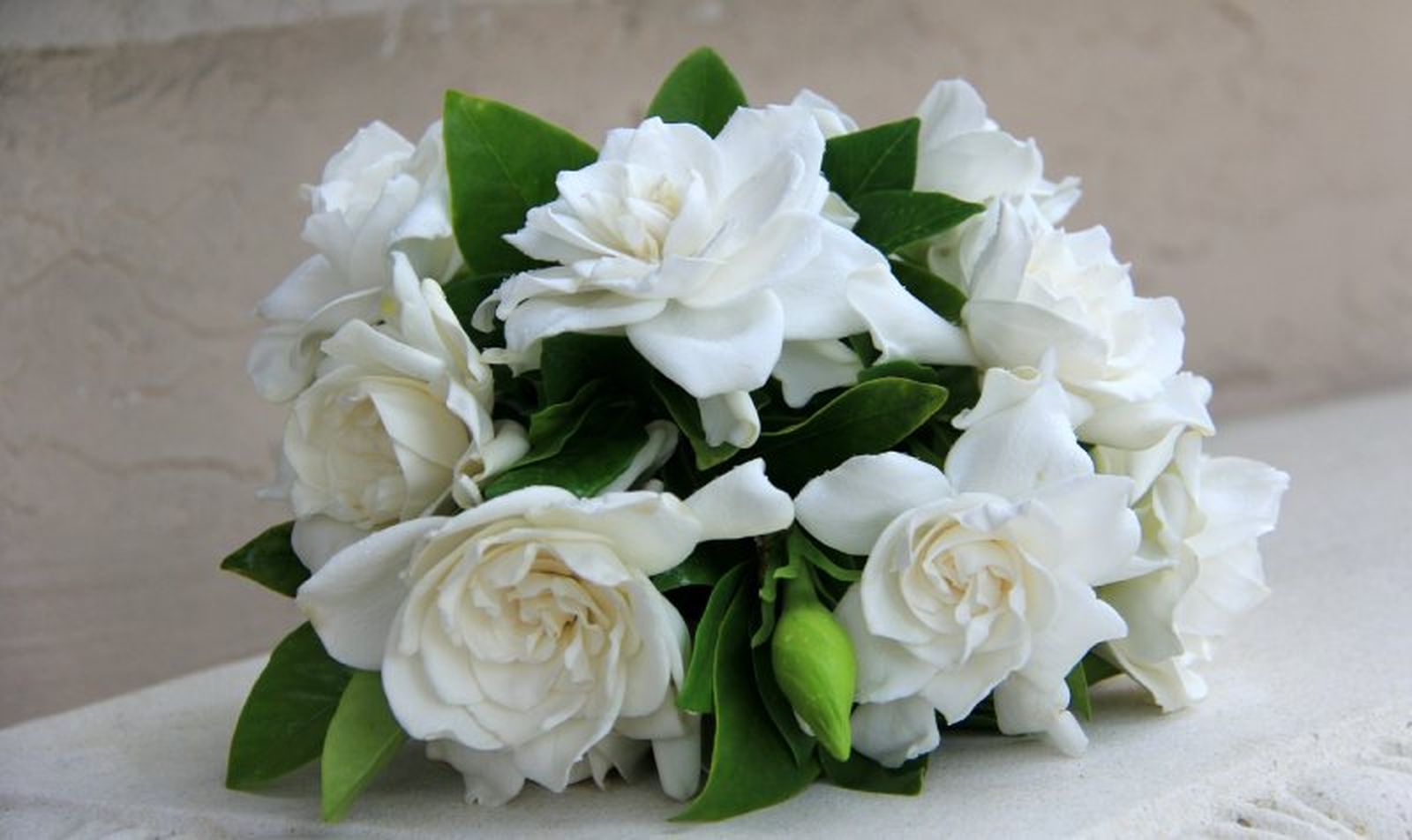 Las gardenias son perfectas para una boda tradicional o vintage