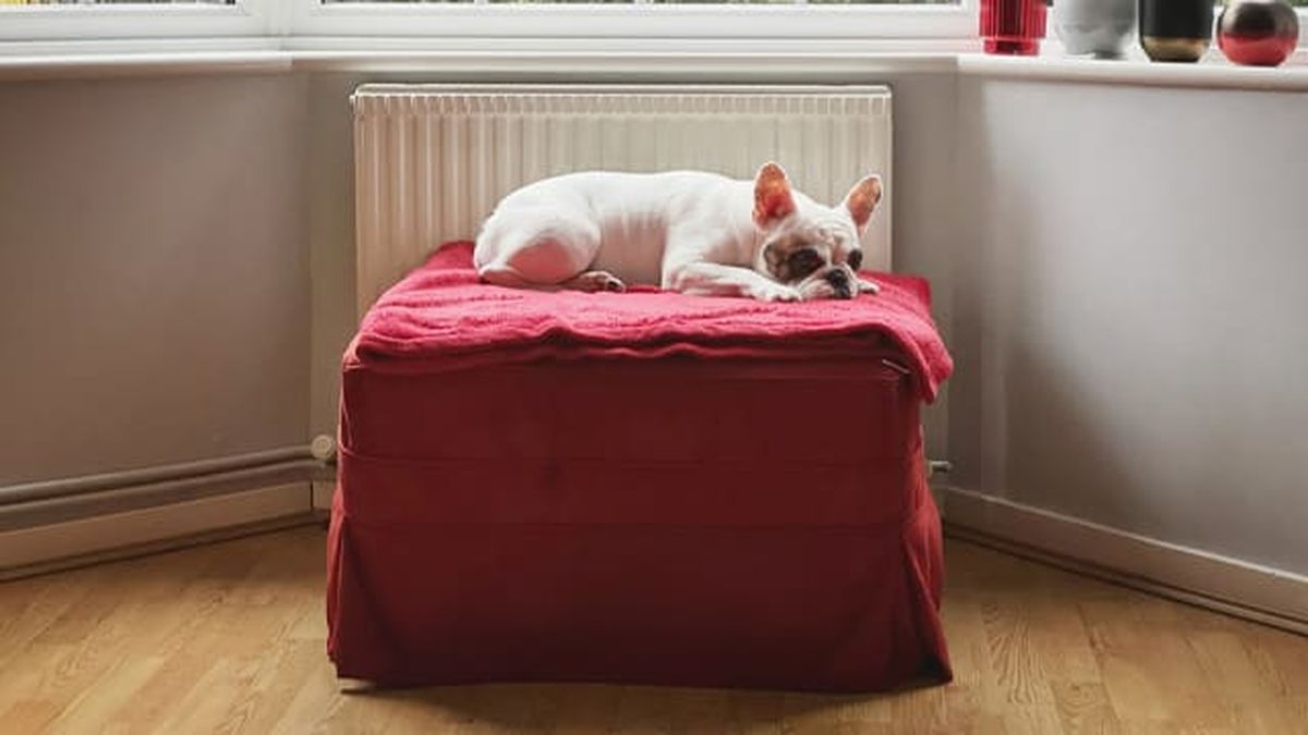 disimular radiadores mueble