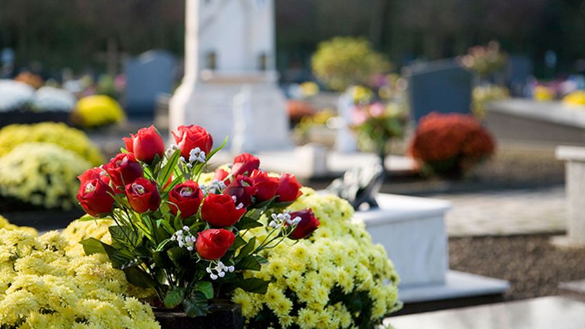 flores tipicas todos los santos