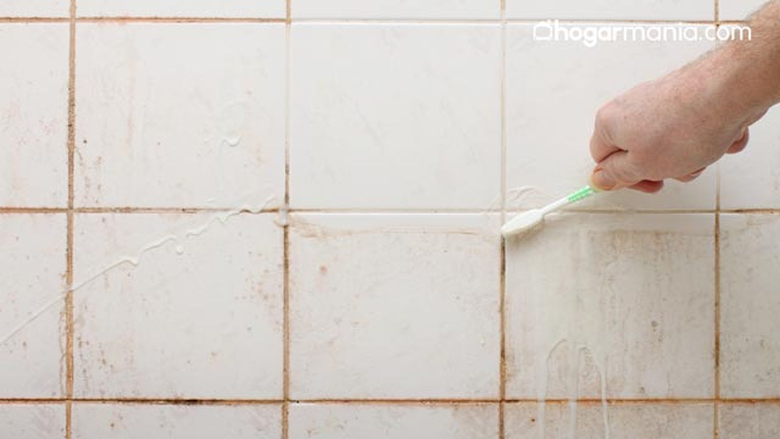 como quitar el moho de los azulejos del bano como quitar el moho de los azulejos del bano