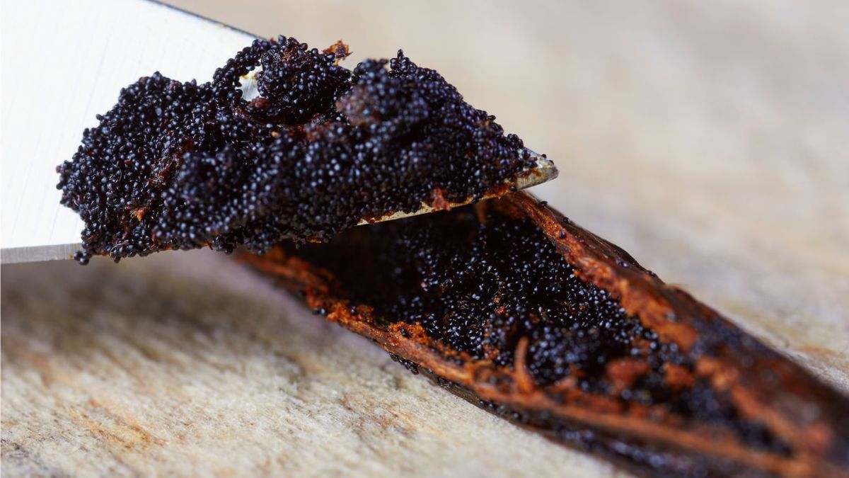 Semillas de vaina de vainilla