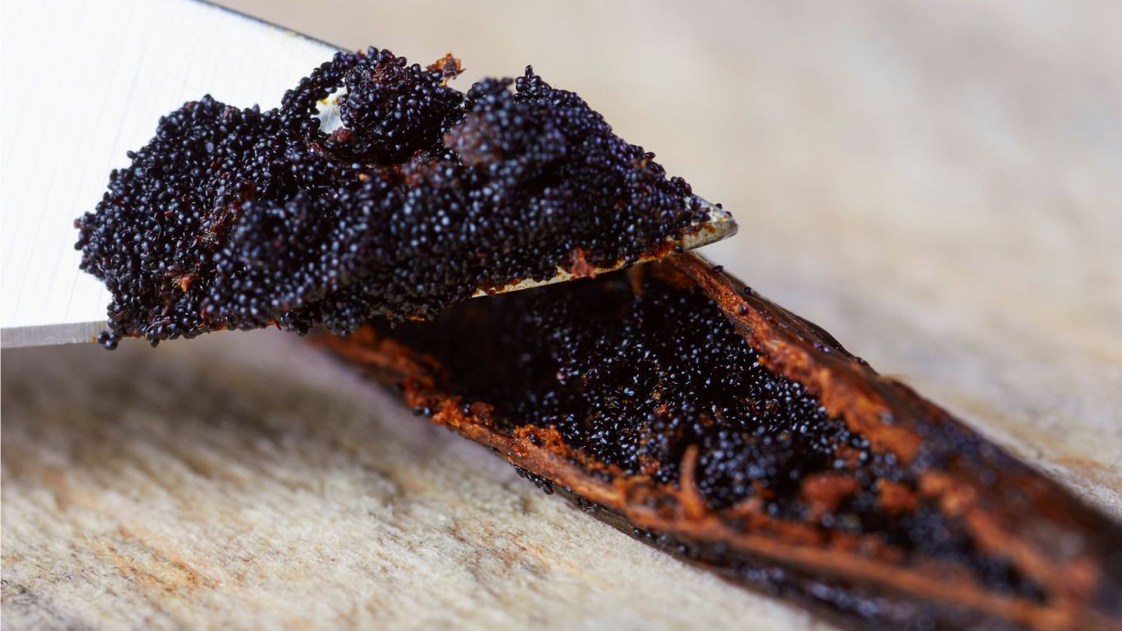 Semillas de vaina de vainilla