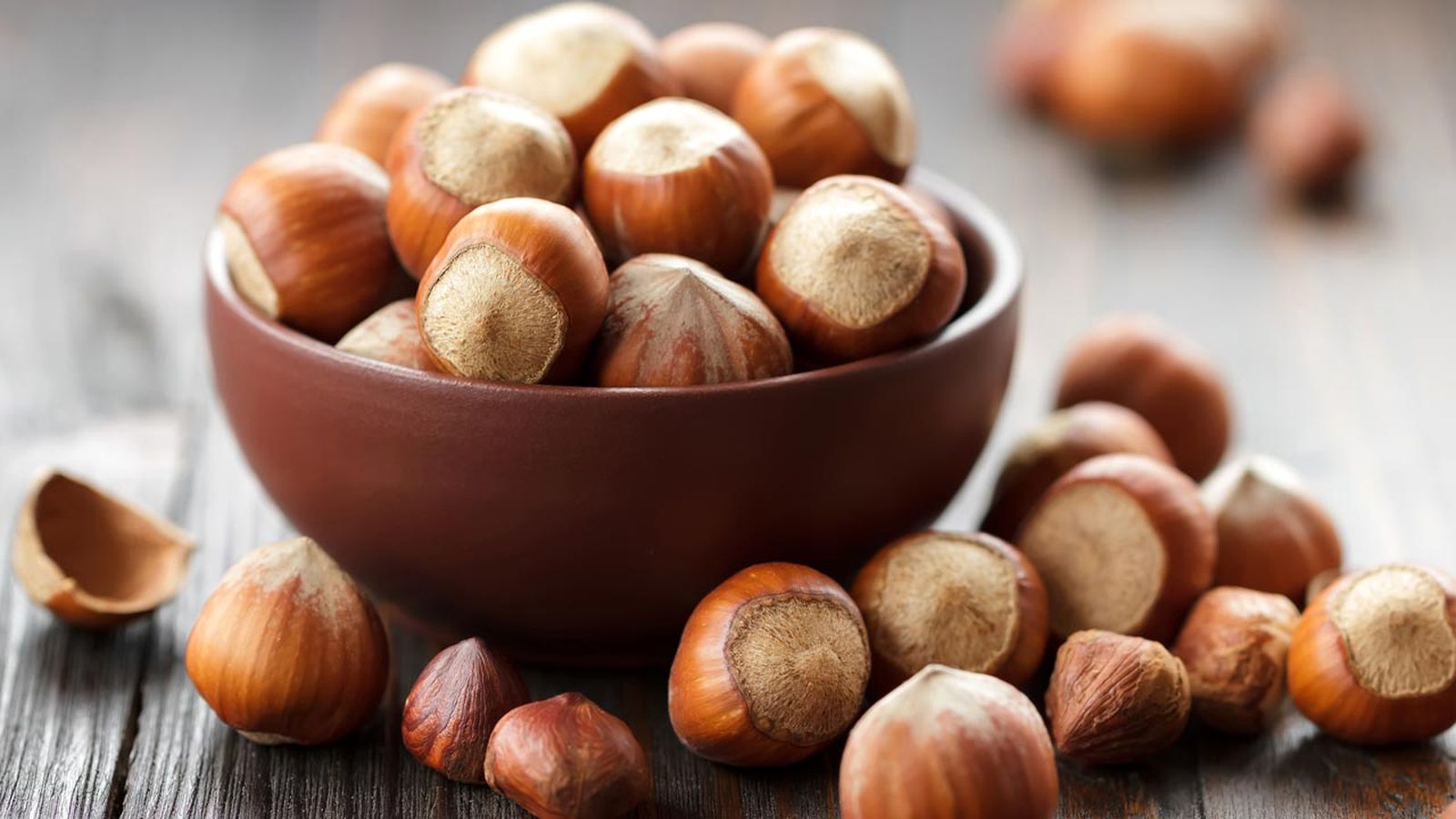 avellanas alimentos antioxidantes avellanas alimentos antioxidantes